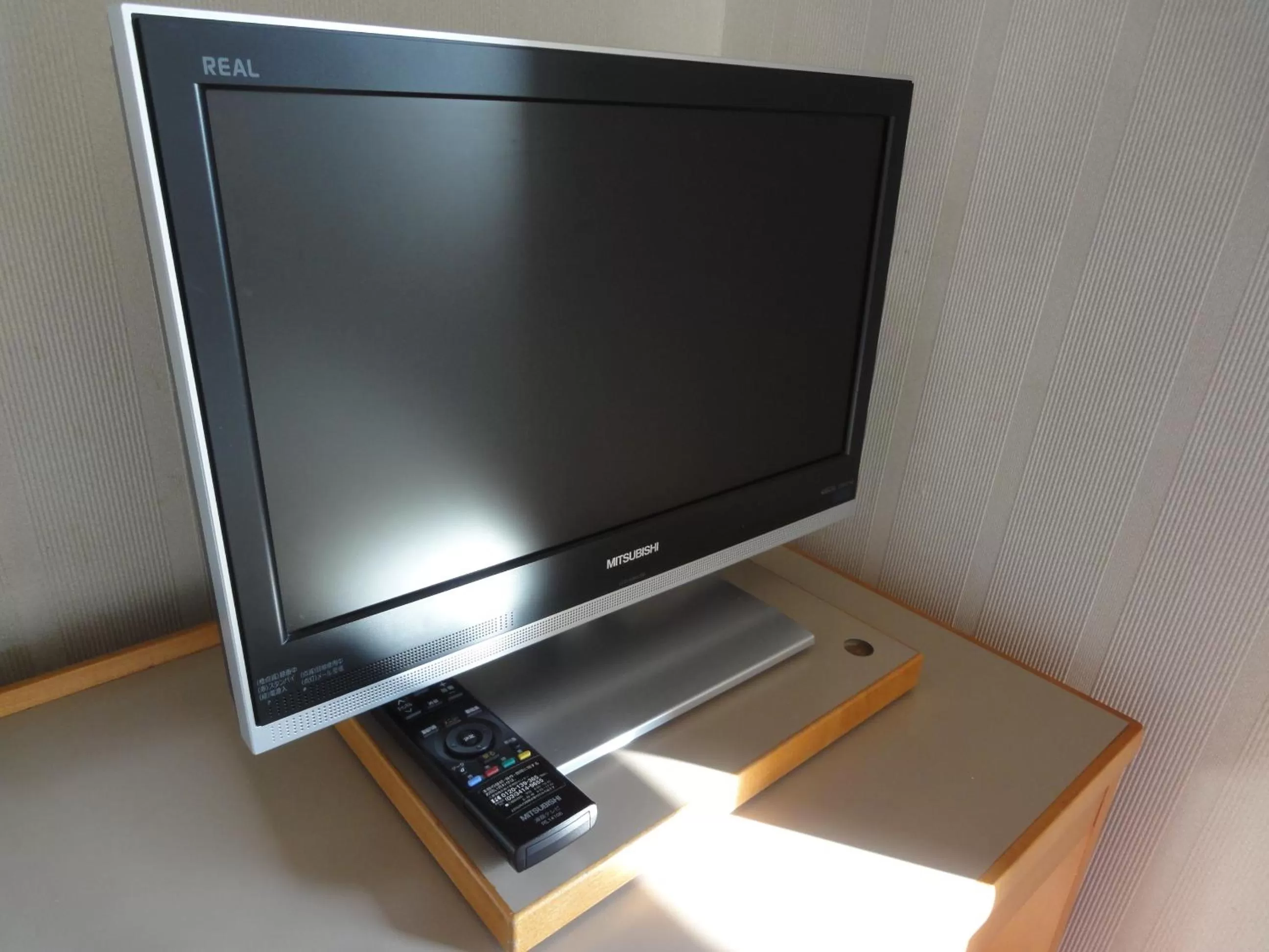 TV and multimedia in Hiroshima International Youth House JMS Aster Plaza