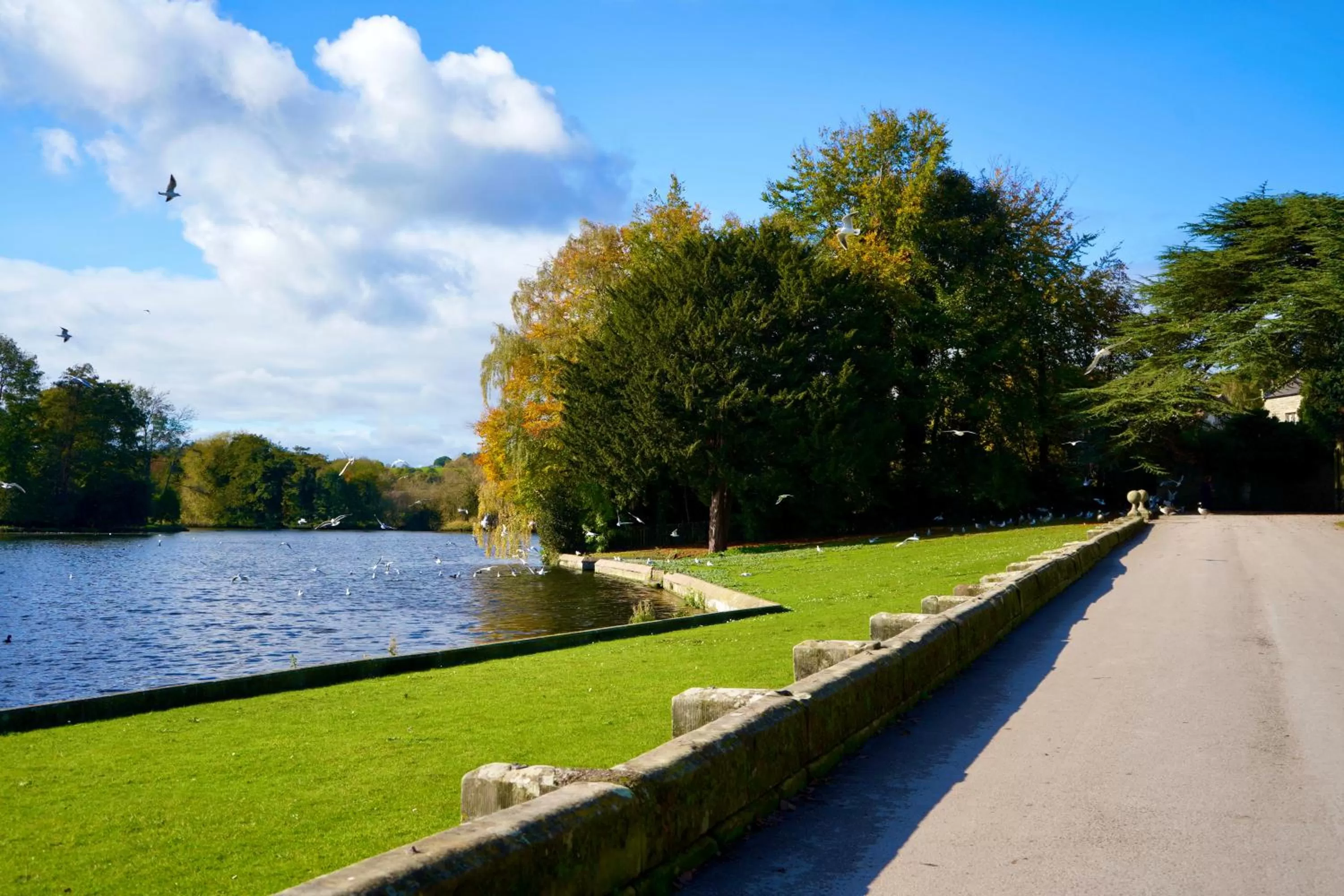 Neighbourhood in Harpur's of Melbourne