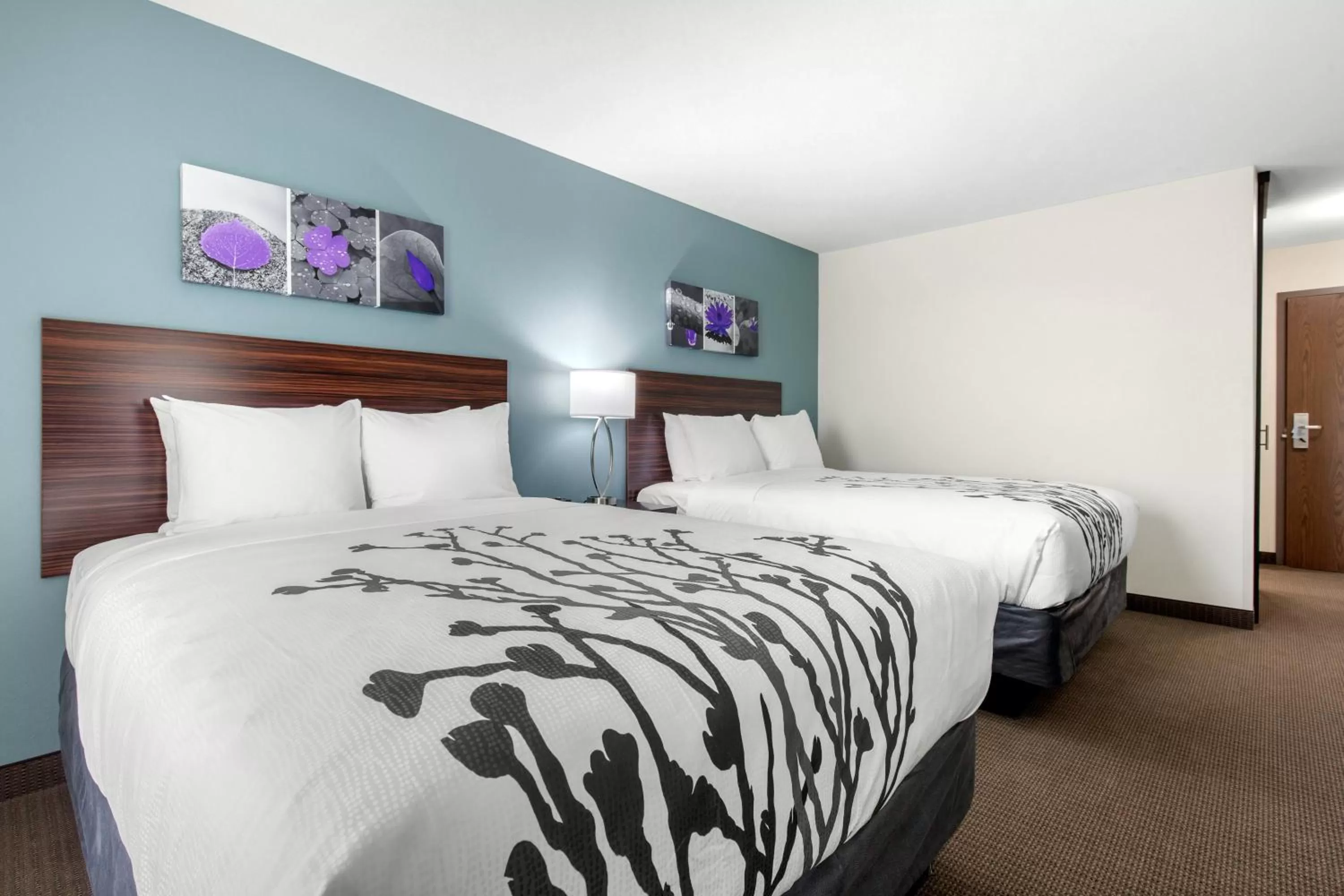 Photo of the whole room, Bed in Sleep Inn & Suites South Jacksonville