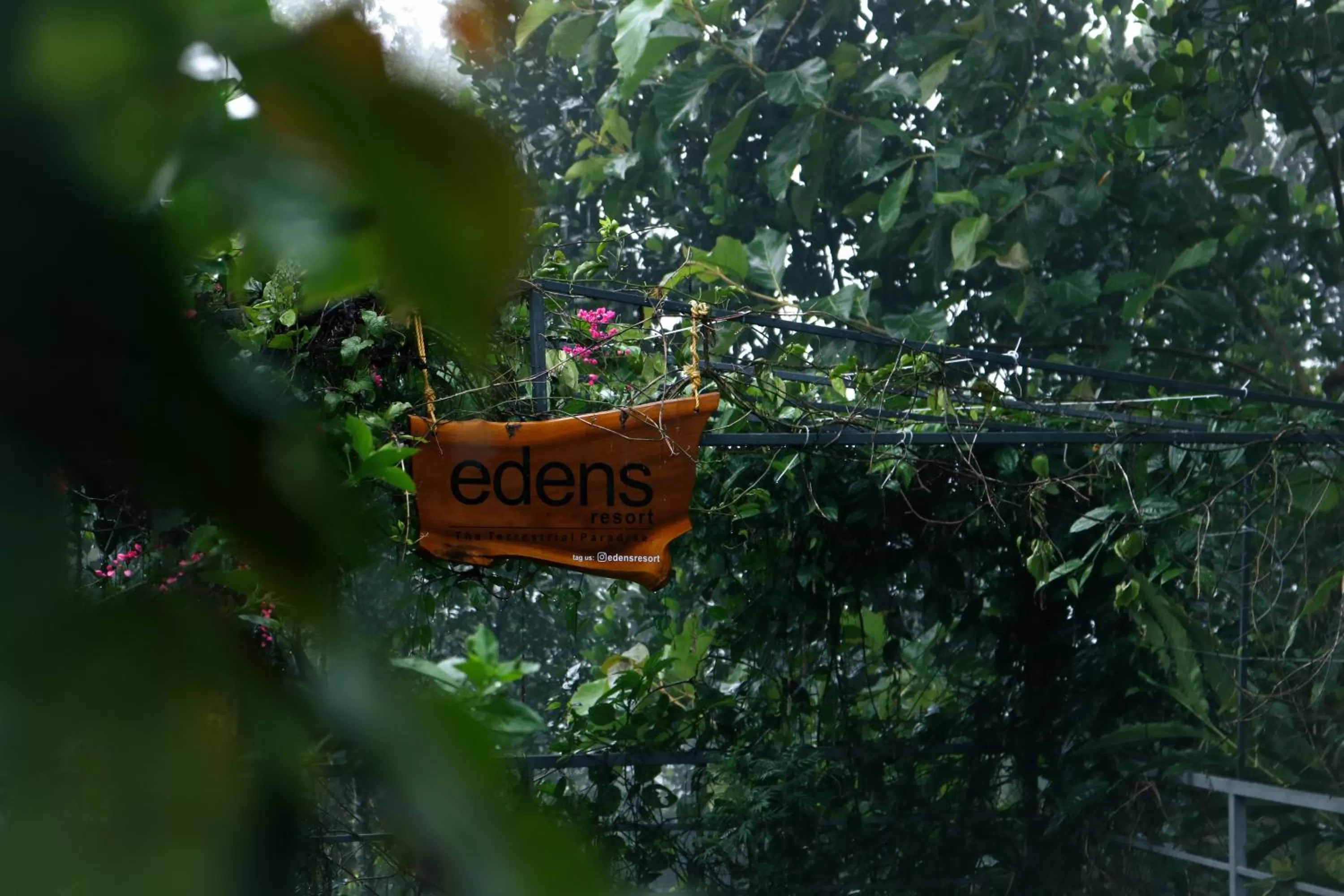 Property building in Edens Munnar
