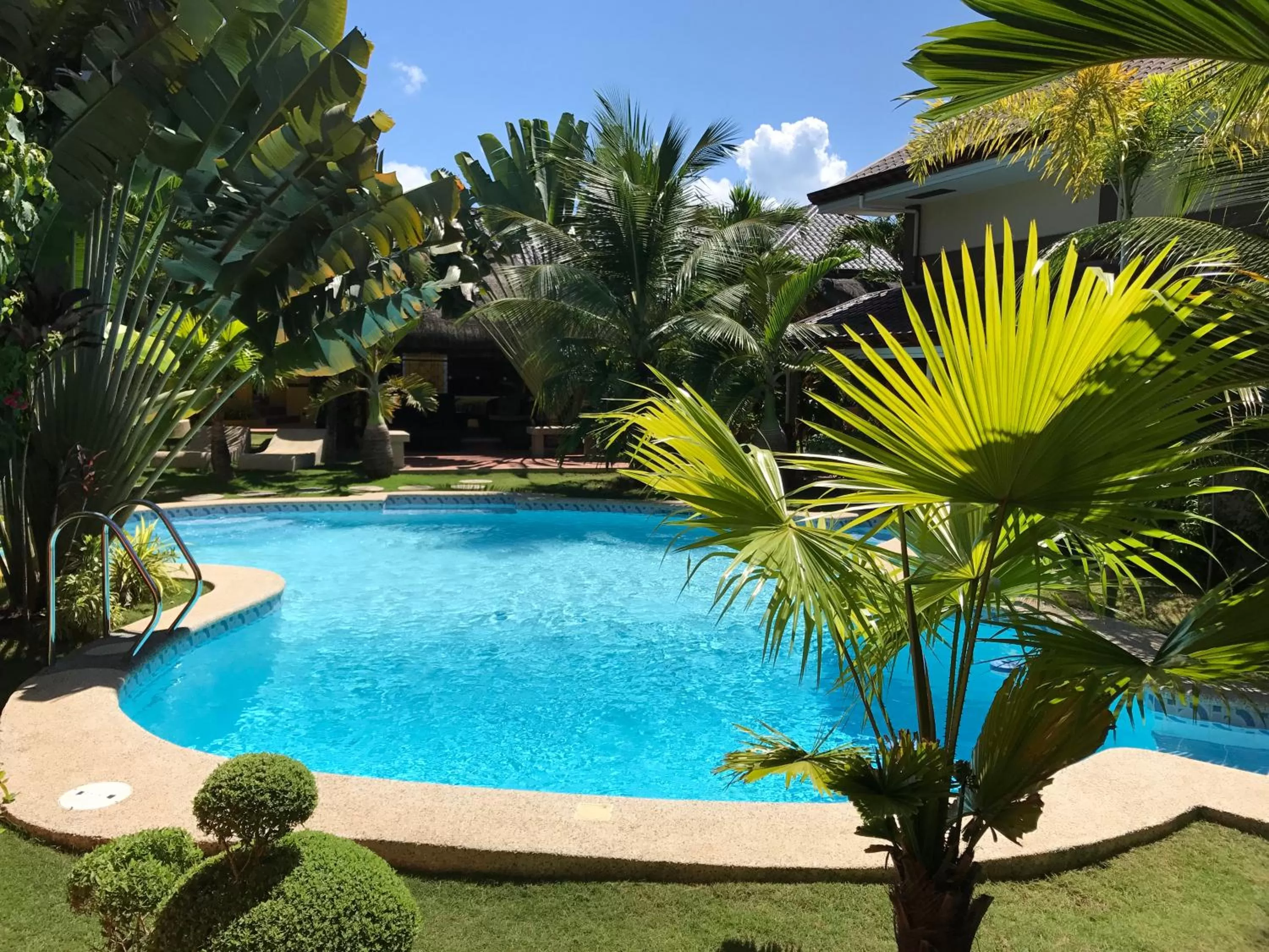 Swimming pool in Alona's Coral Garden Resort (Adult-Only)