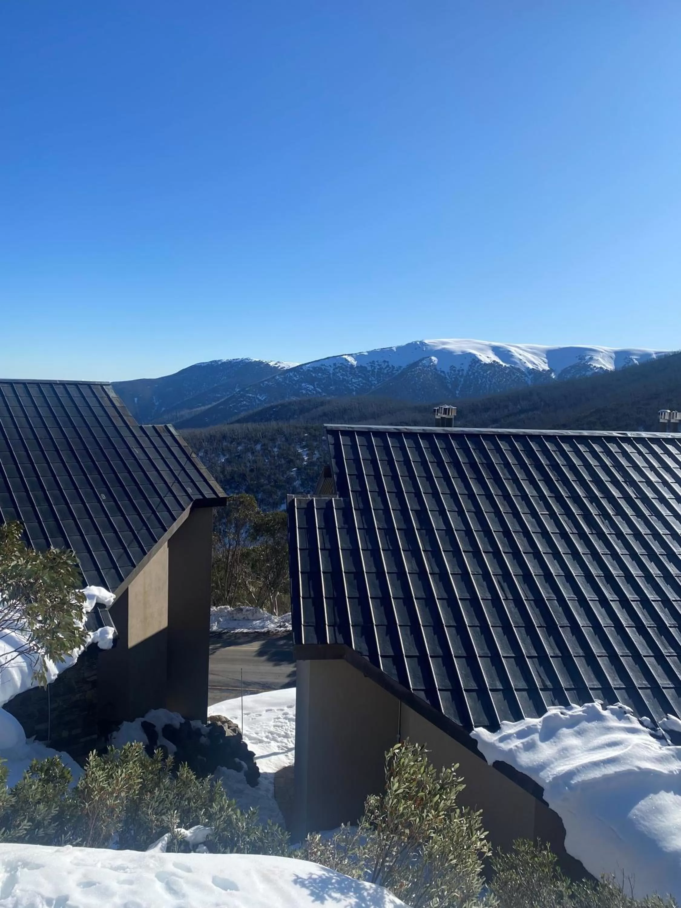 Mountain view, Property Building in Alpine Woodsmoke Apartments