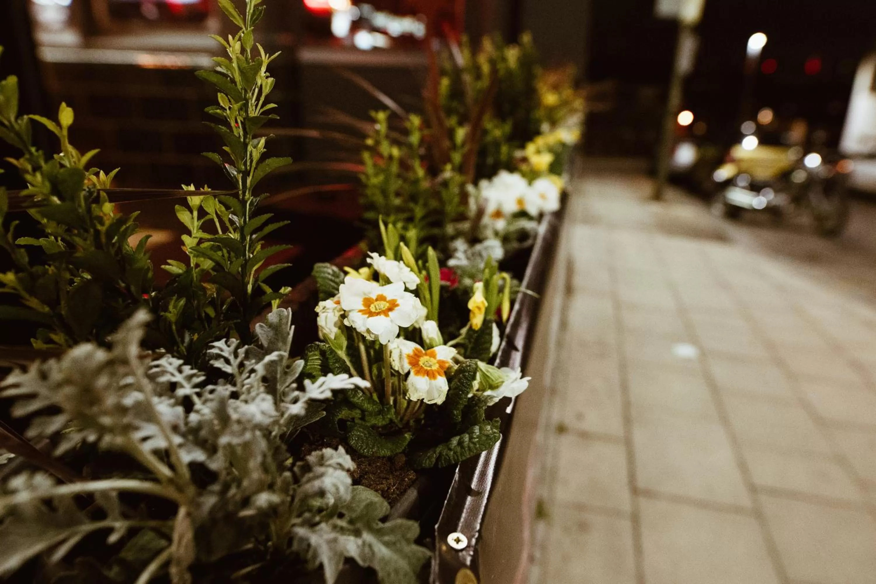 Facade/entrance in PubLove @ The Crown, Battersea