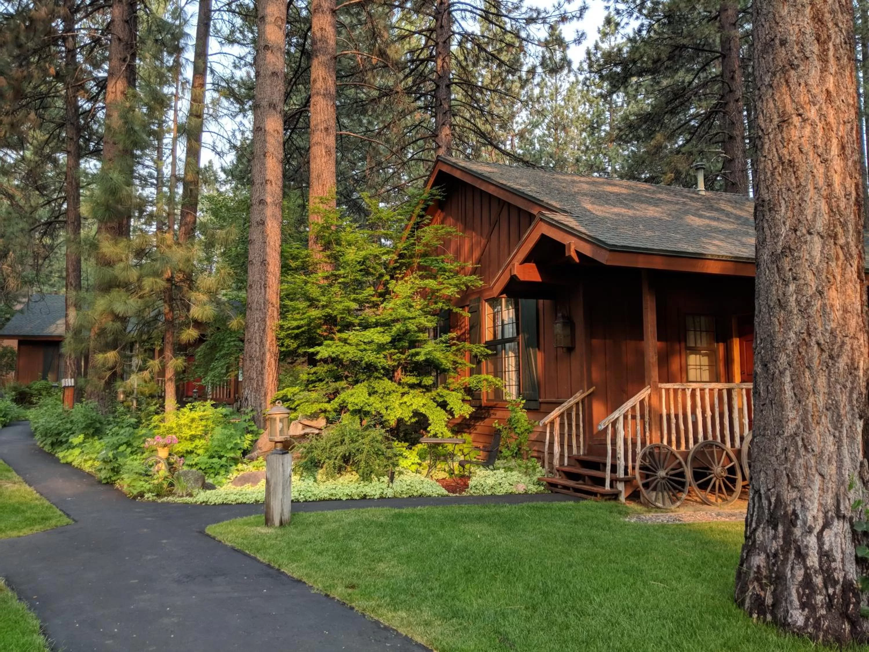 Summer in Black Bear Lodge