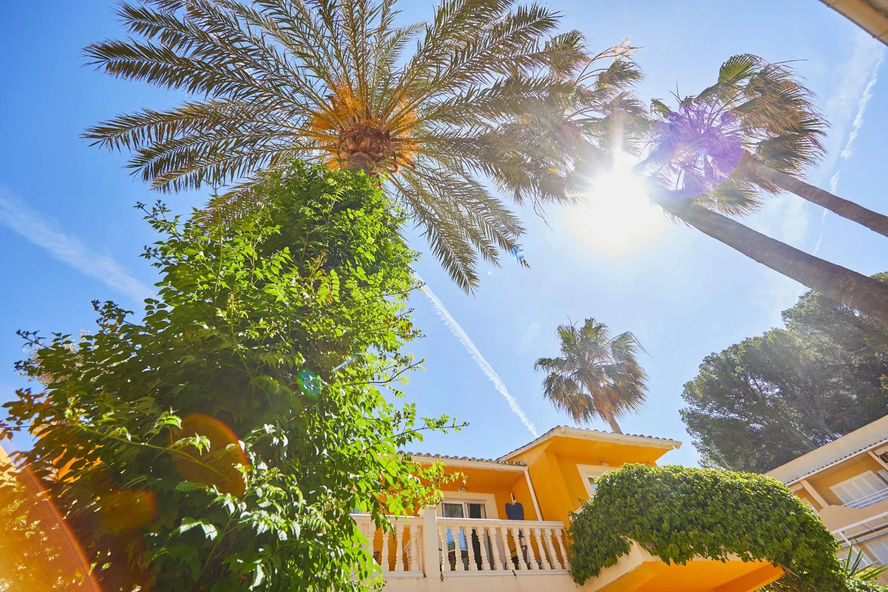 Day in Hotel Cupidor