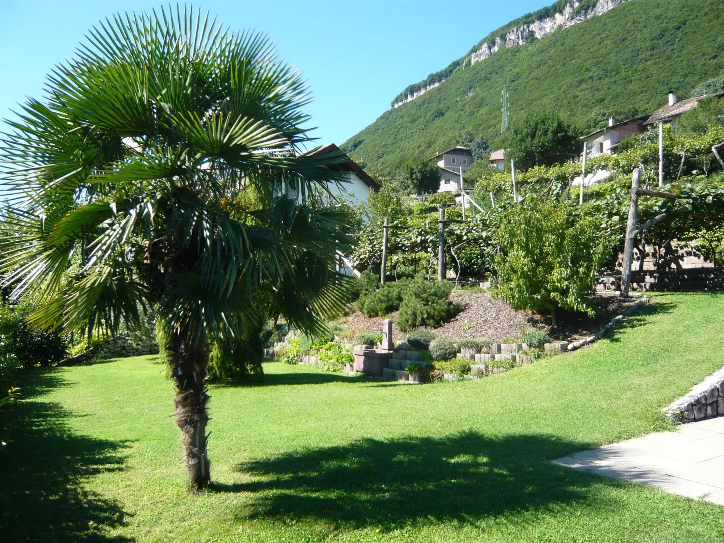 Garden in Garni Hotel Ritterhof