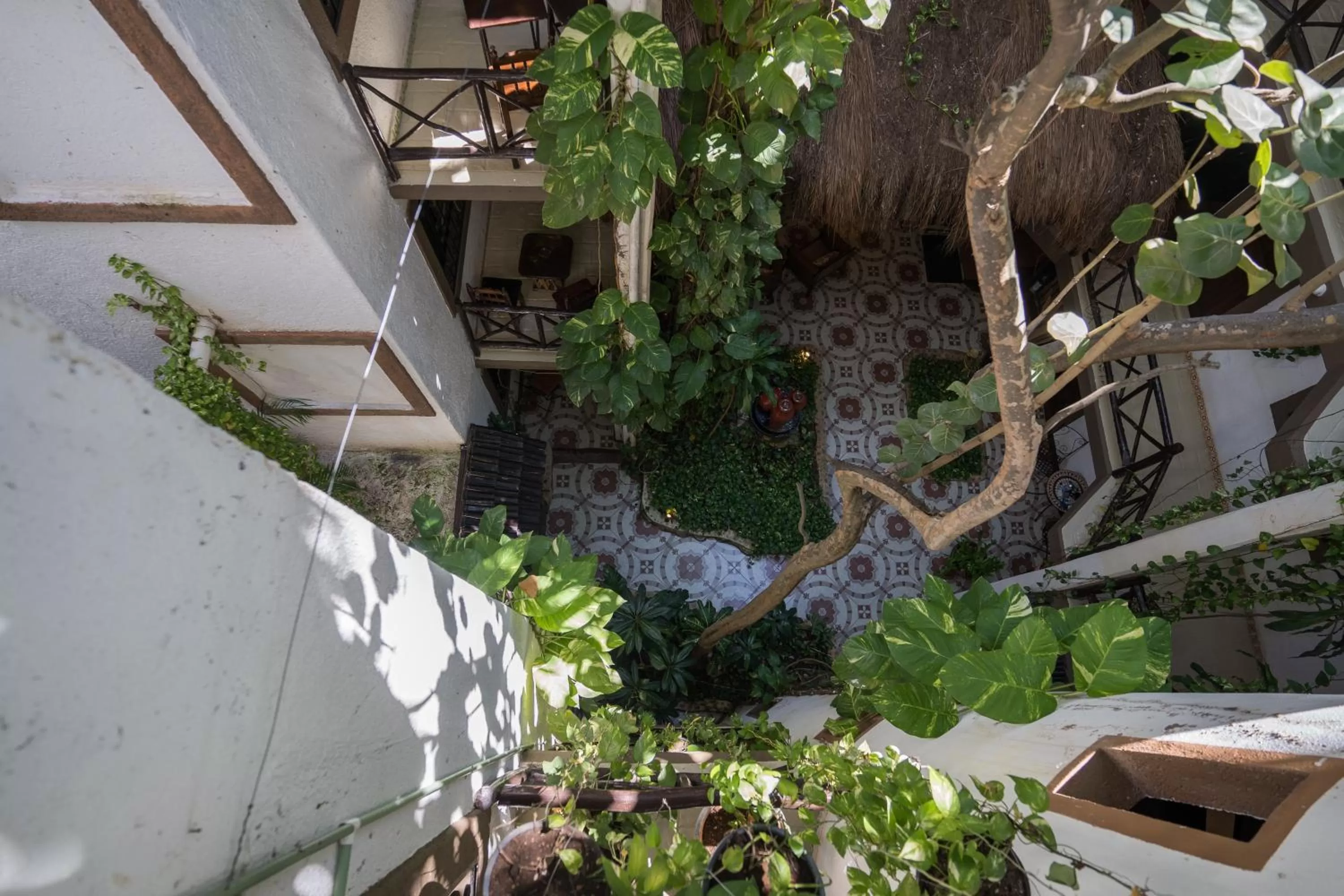 Posada Mariposa Boutique Hotel - 5th Avenue