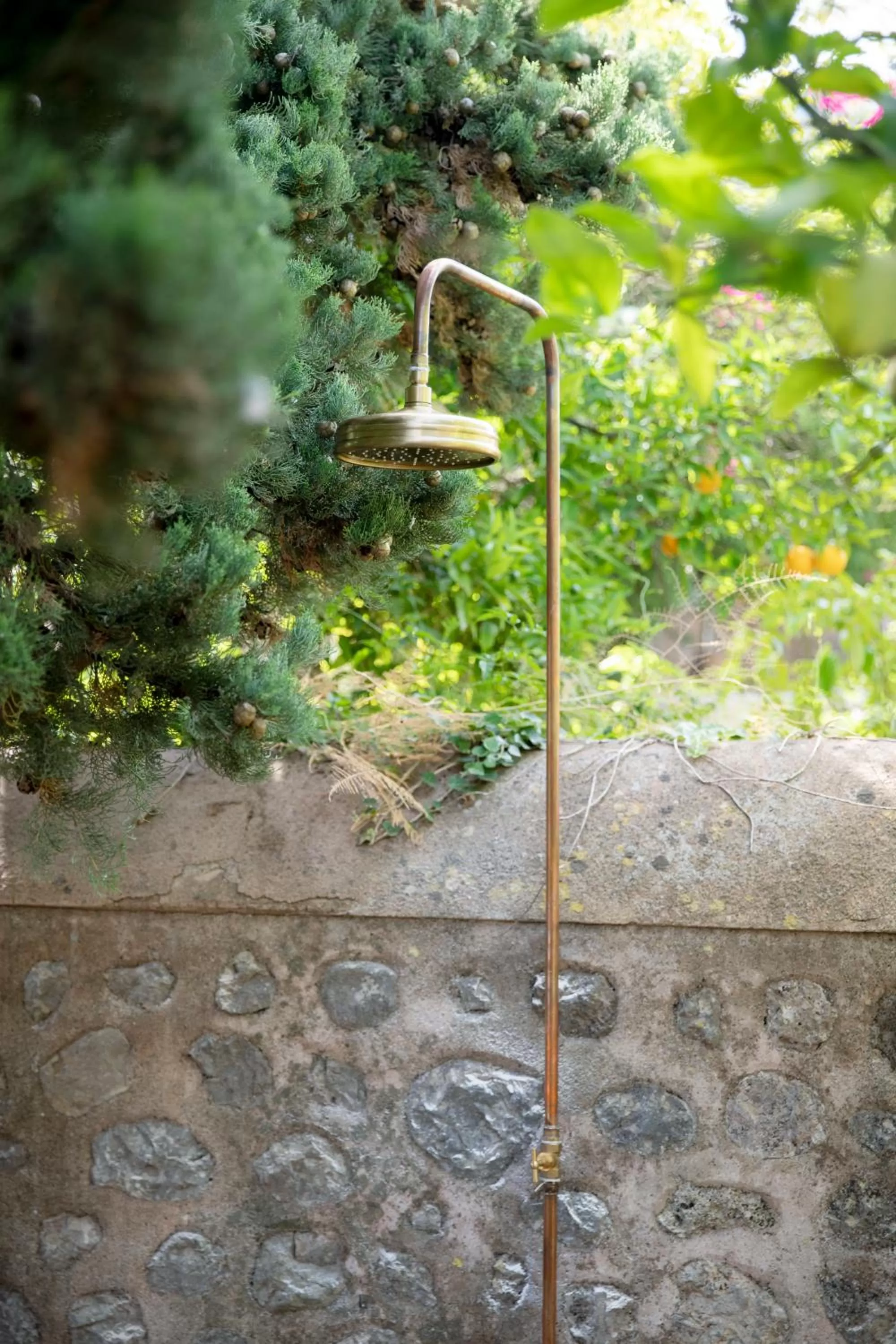 Garden in Ca'n Puig de Sòller