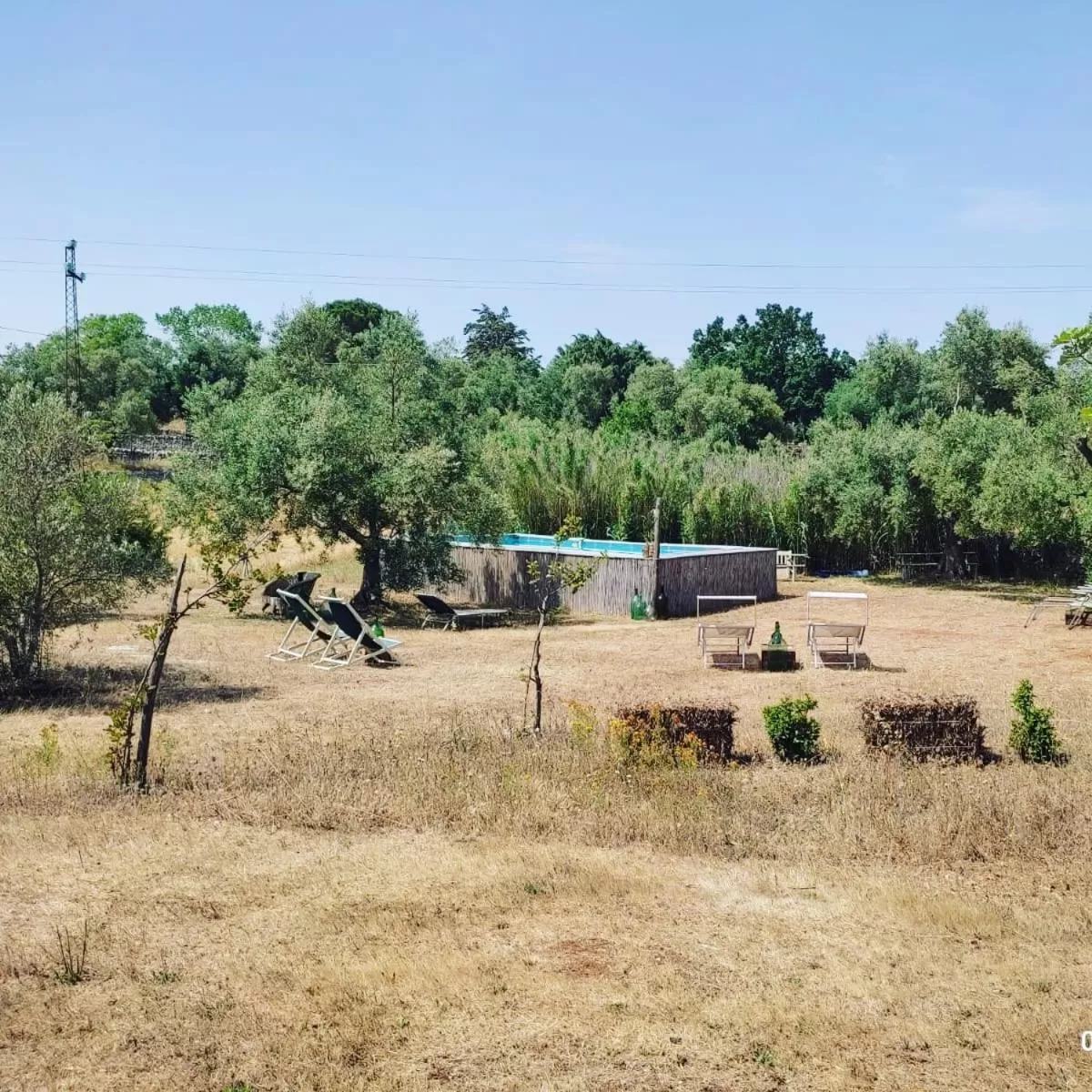 Garden in B&B Giovannarolla Green House