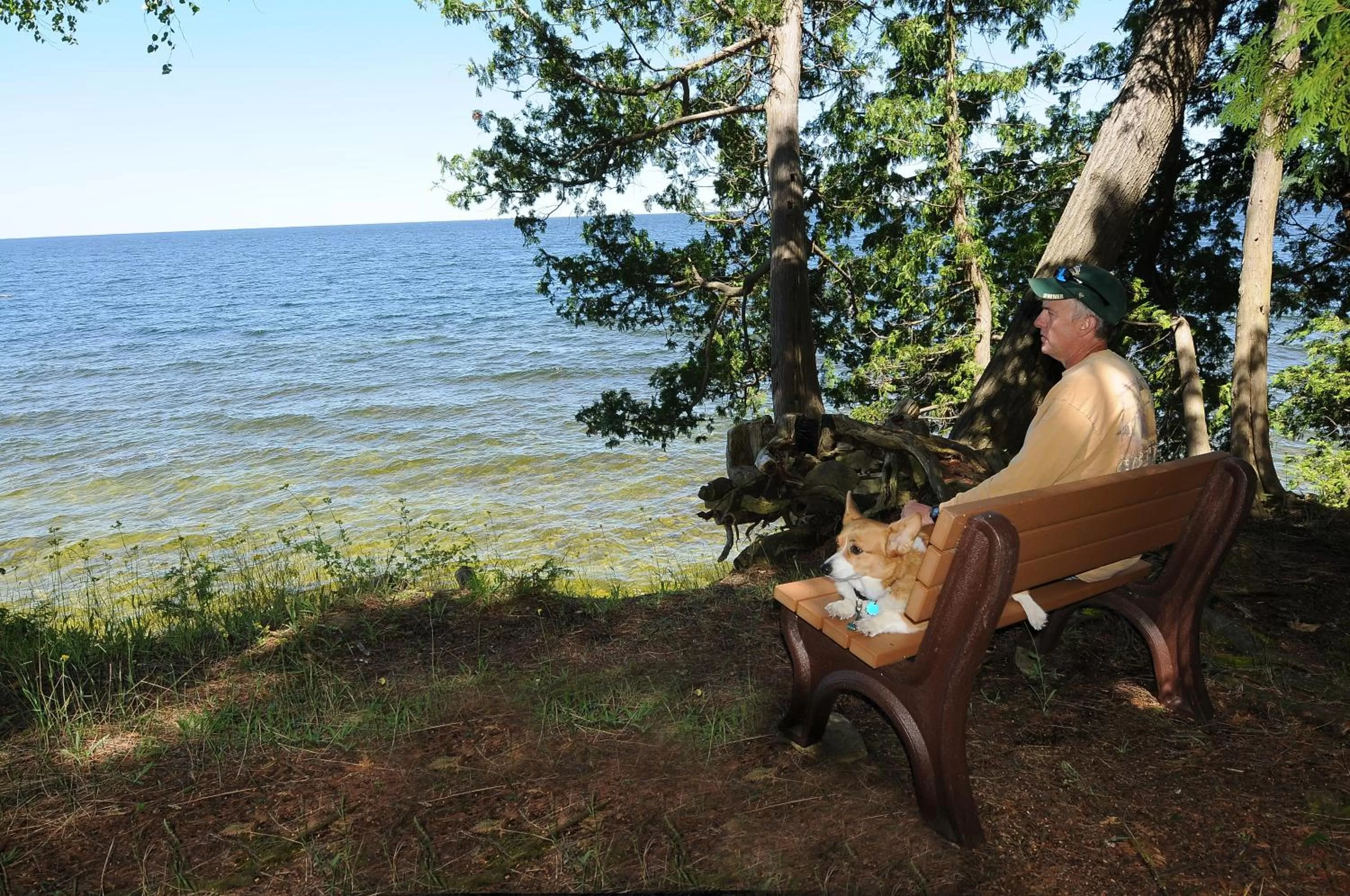 Lake view, Garden in Country House Resort