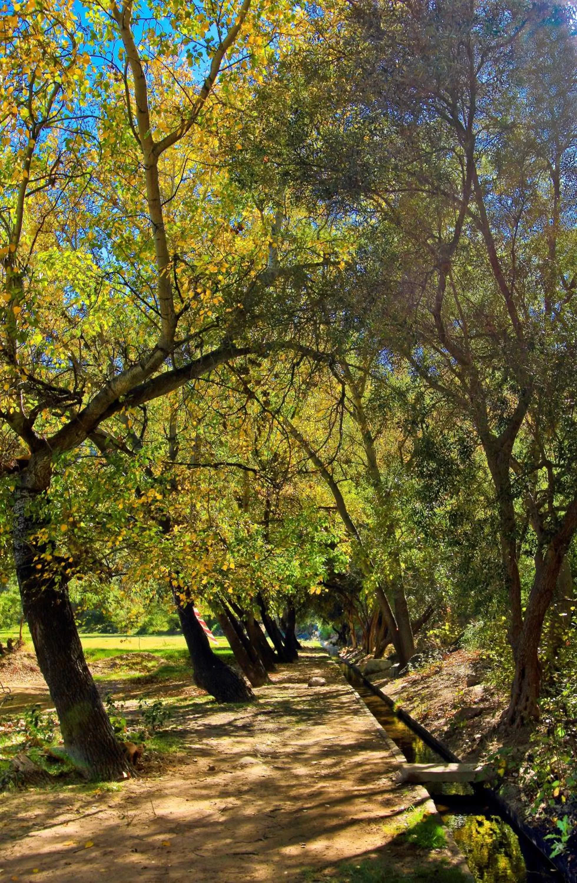 Nearby landmark in Montagu Vines Guesthouse