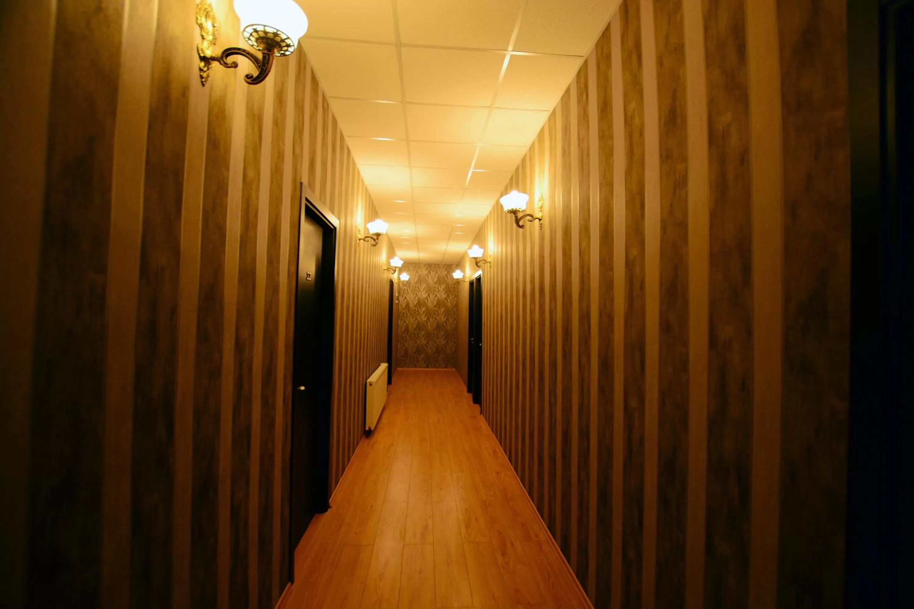 Property building in Chveni sakhli