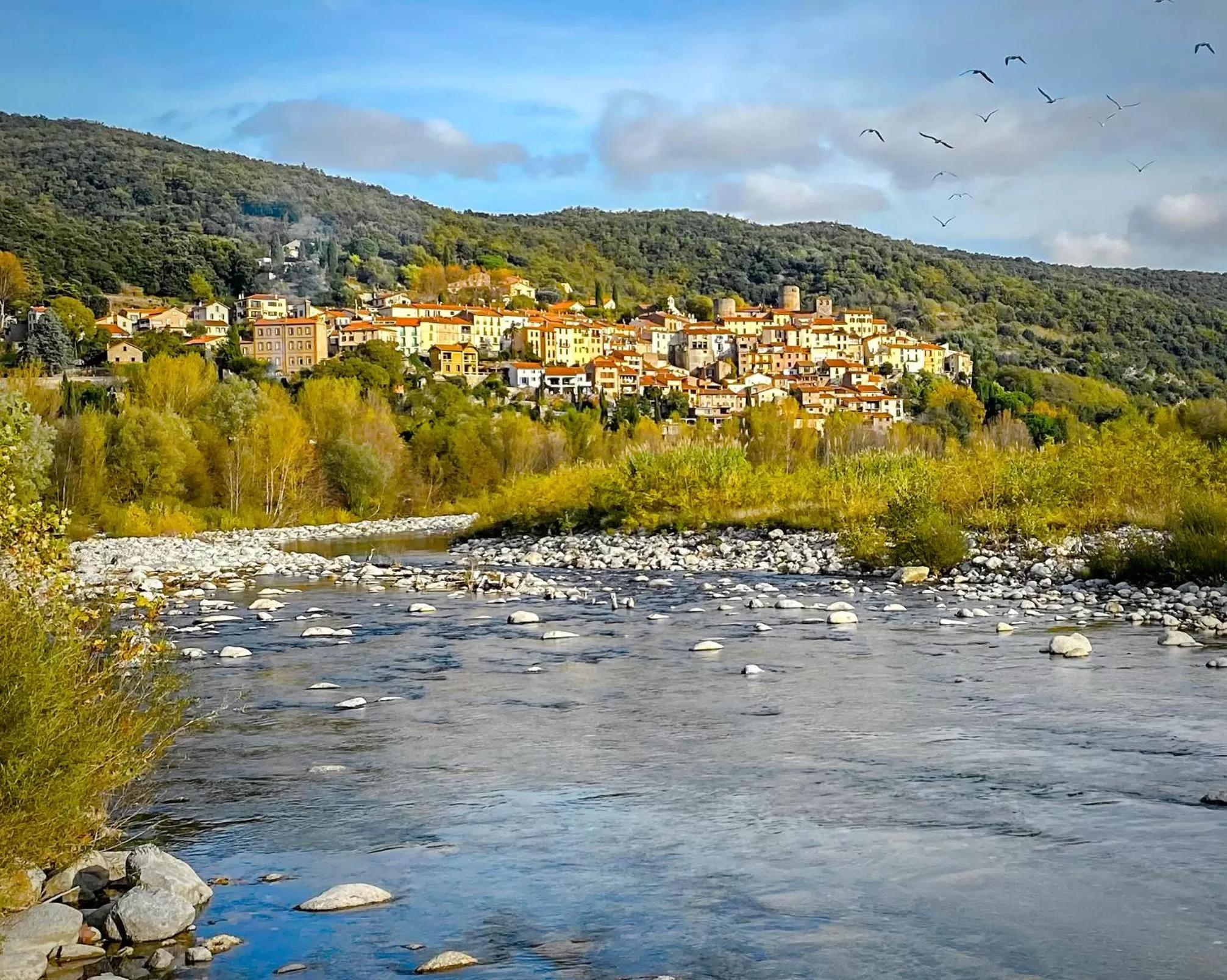 Villa Riviera Chambres Privées