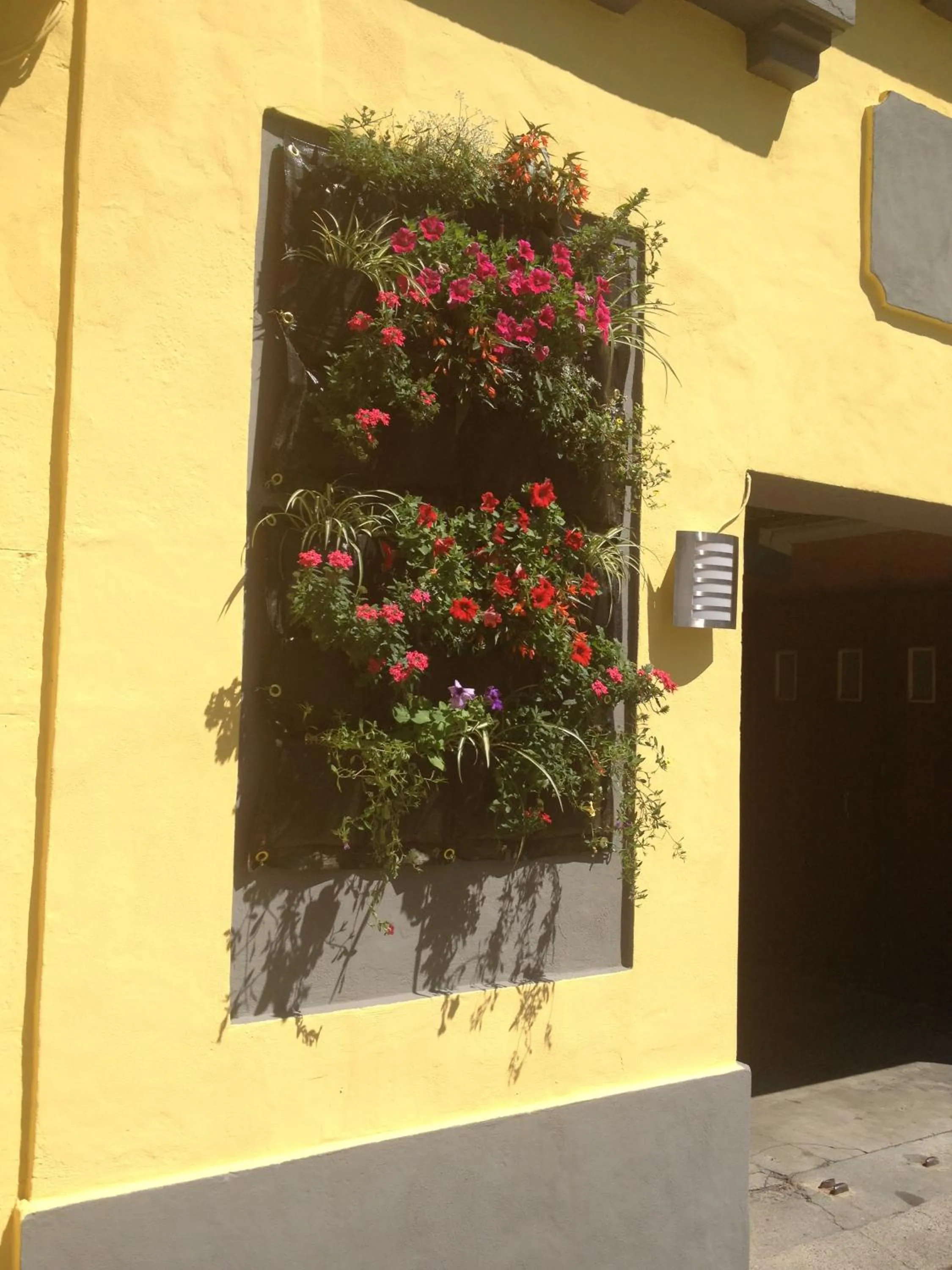 Garden in Hôtel de Nevers