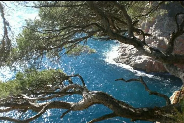 Beach in Hostal Ondina