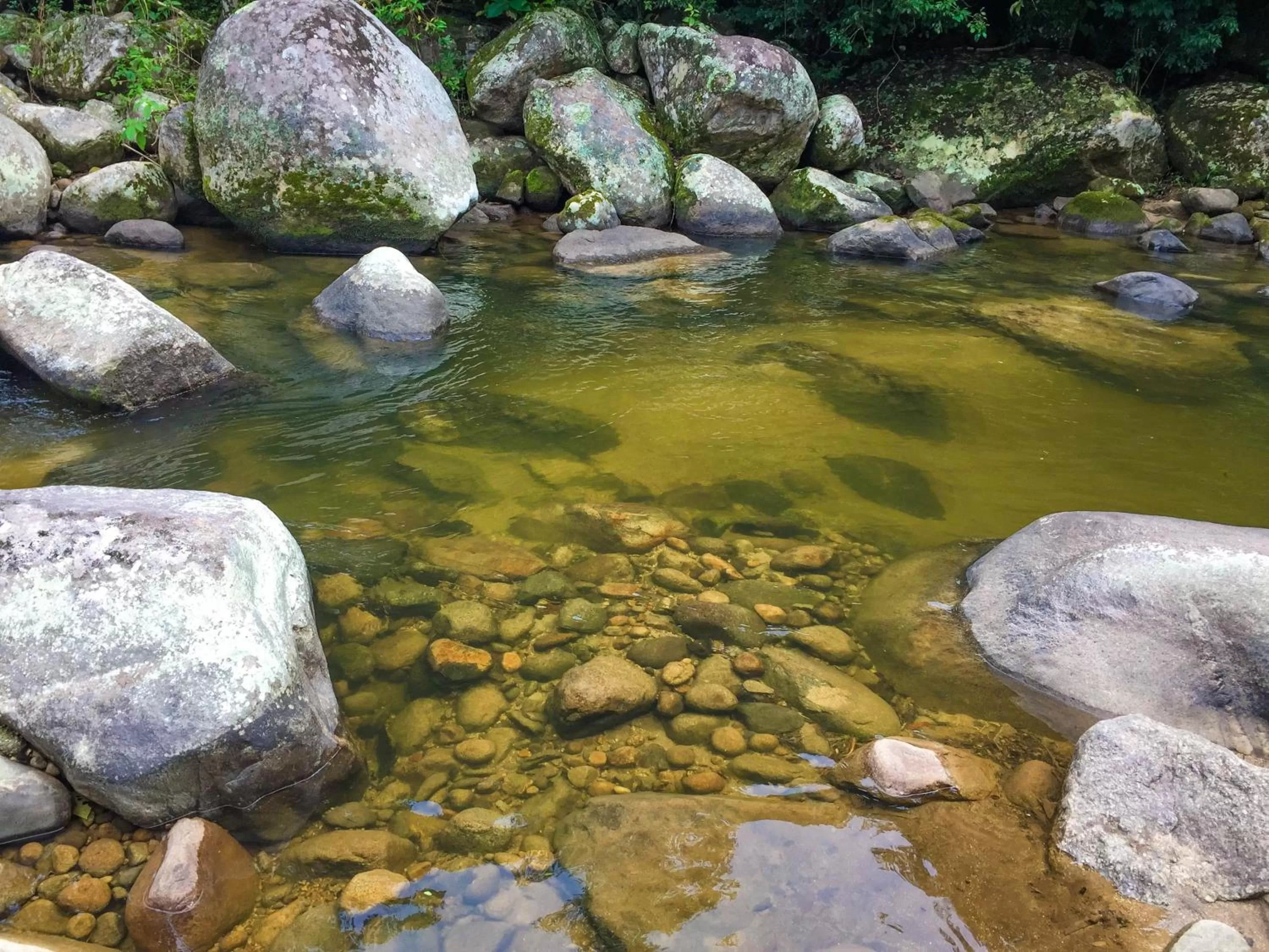 Natural landscape in Pousada Canto do Curió Paraty