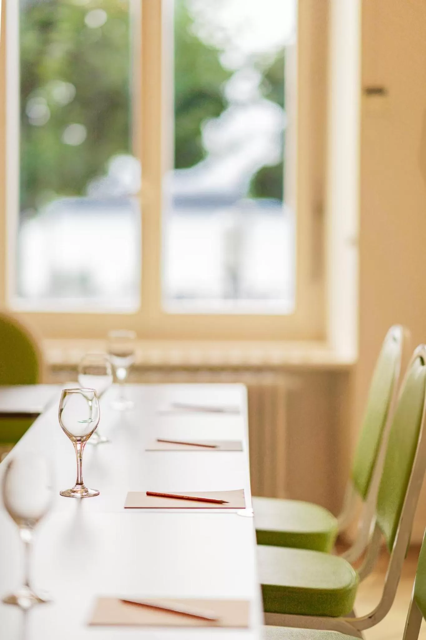 Banquet/Function facilities in Hôtel Alpes & Lac