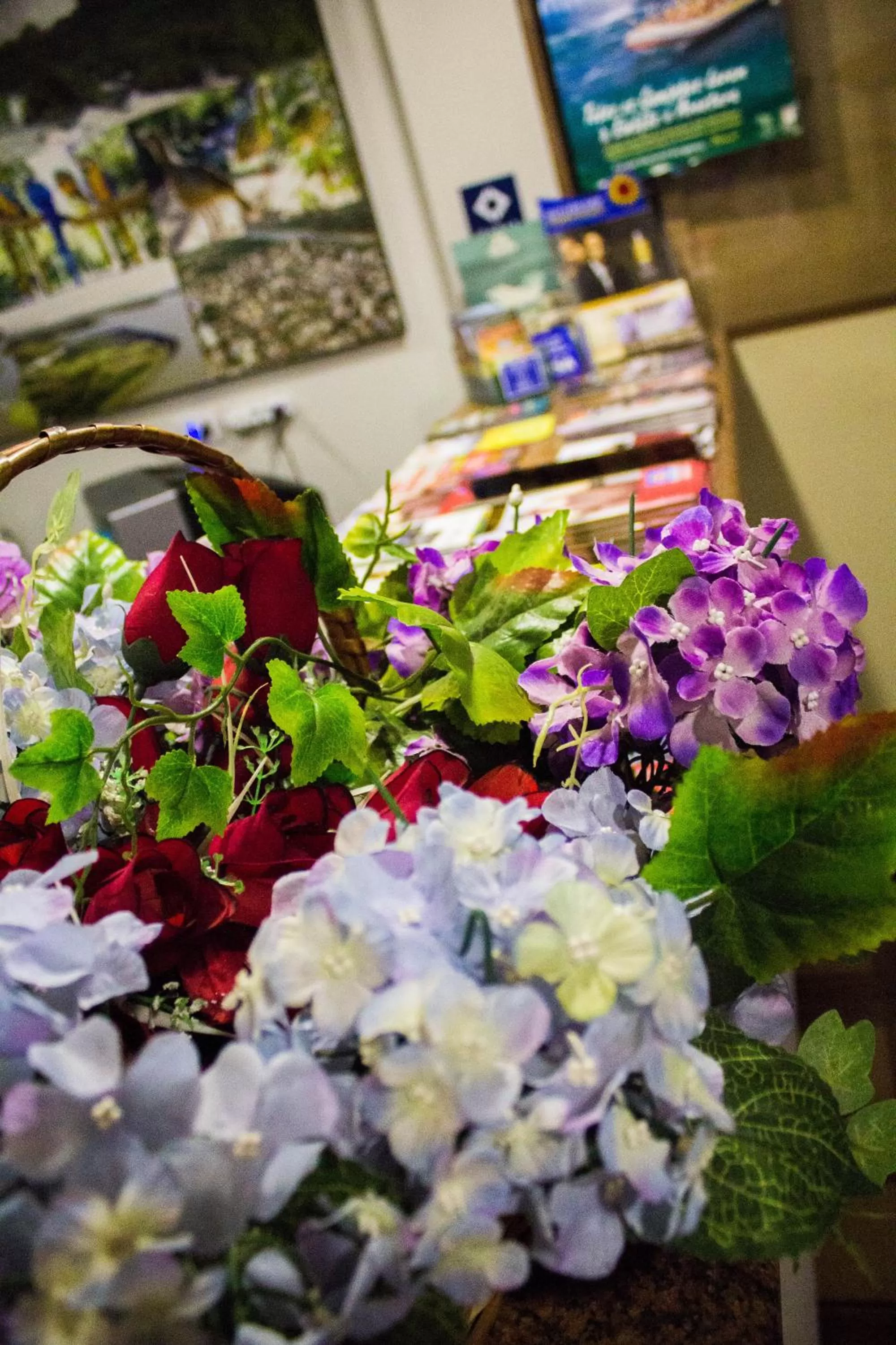 Spring in Hotel Baviera Iguassu