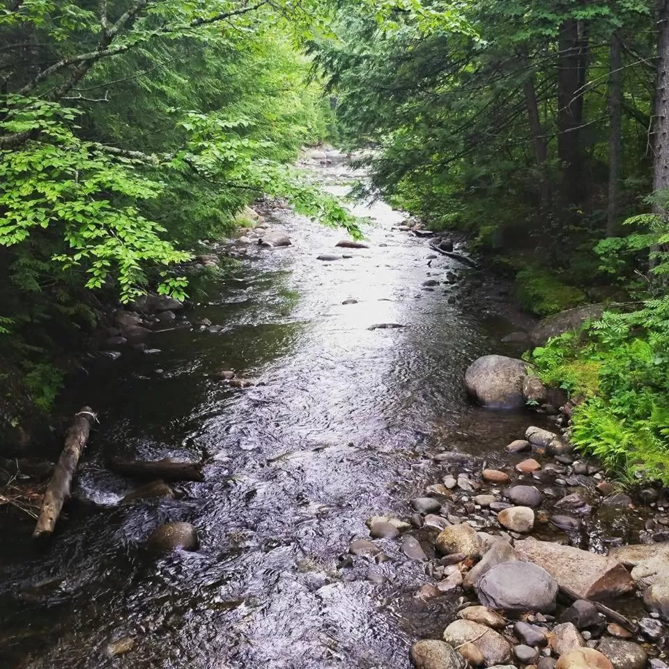 Fishing in Spillover Motel and Inn