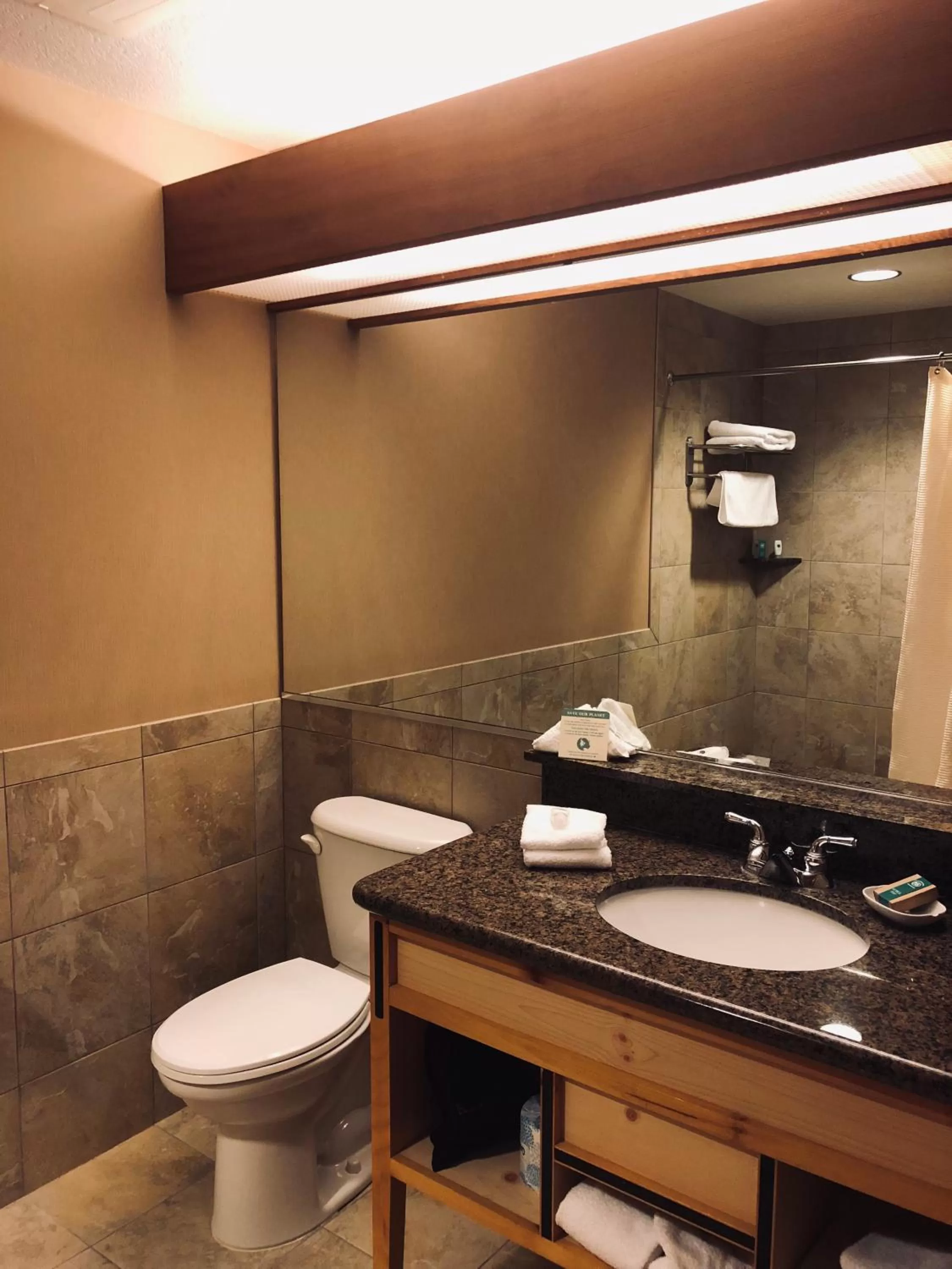 Toilet in Heathman Lodge