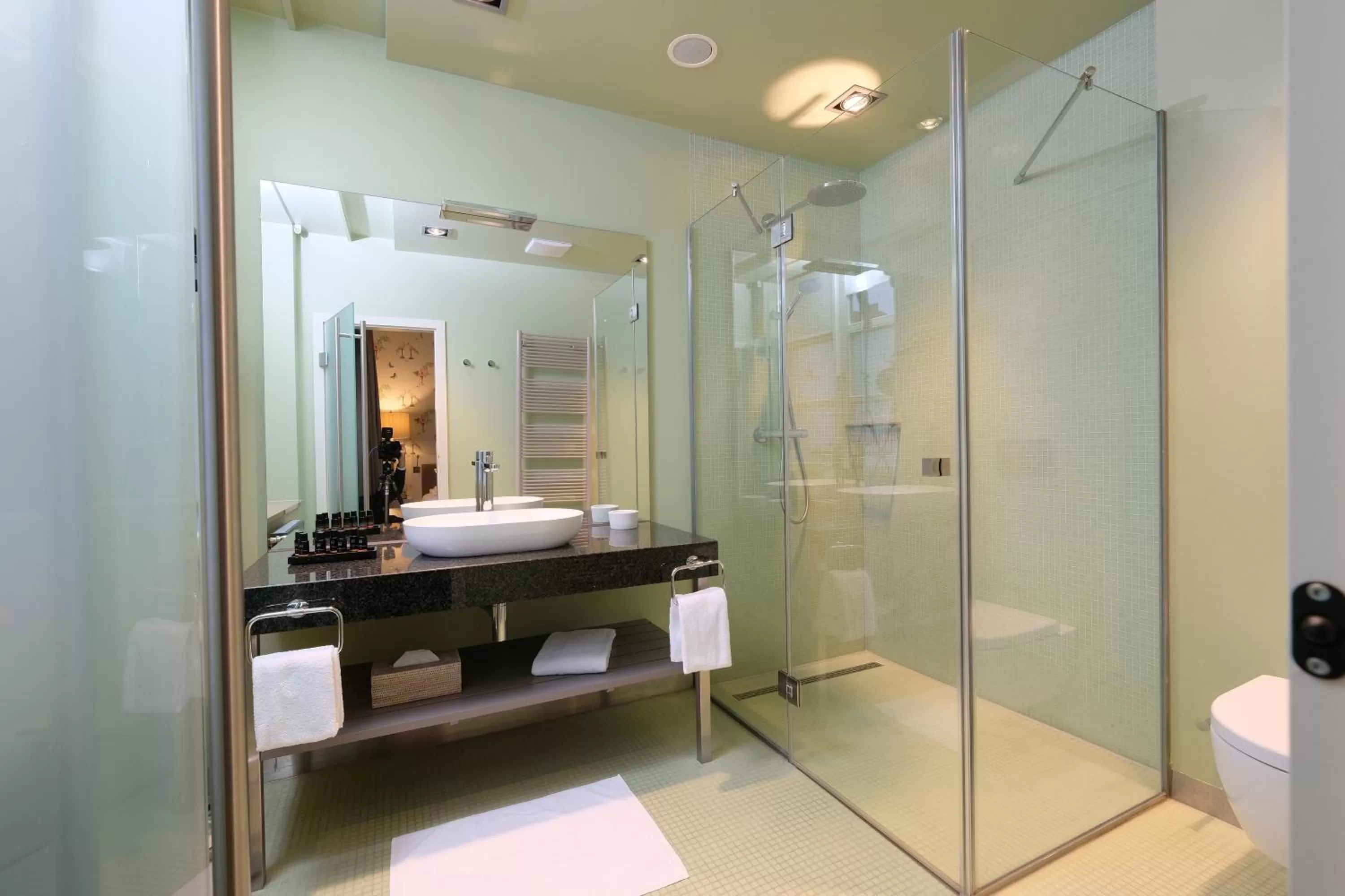 Shower in Zum Löwen Design Hotel Resort & Spa