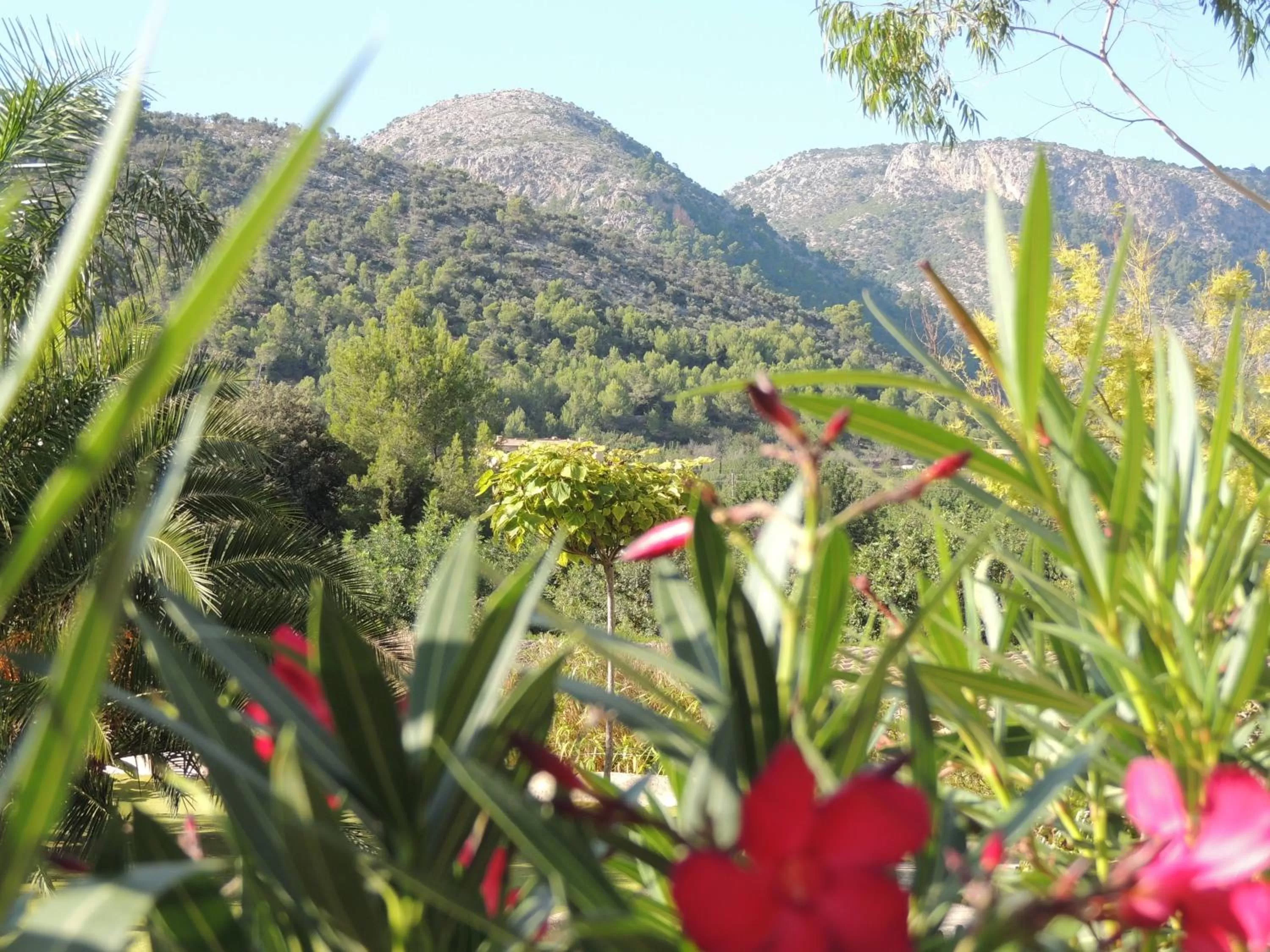 Area and facilities, Mountain View in loftOtel canet