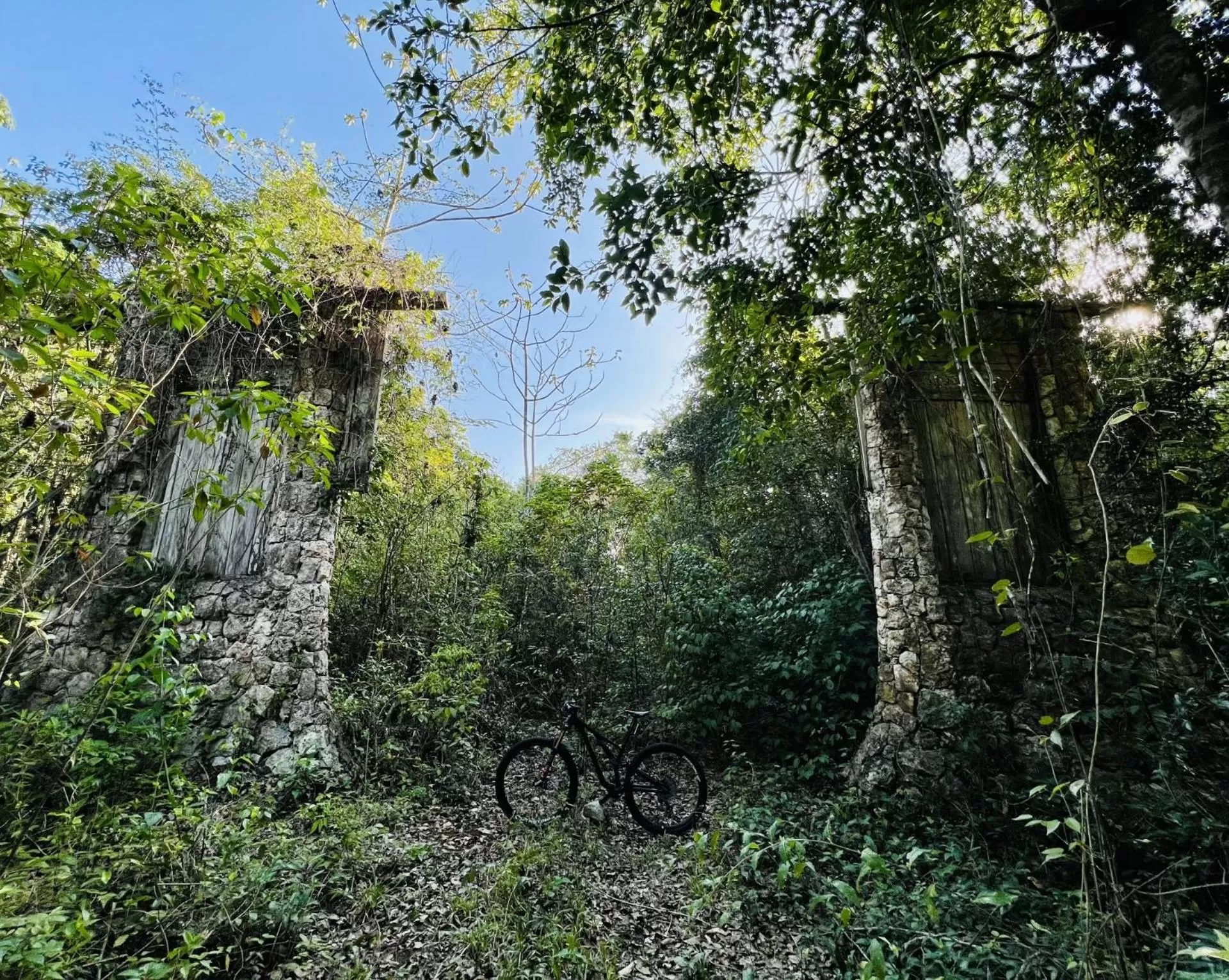 Natural landscape in Quinta Santa Anita