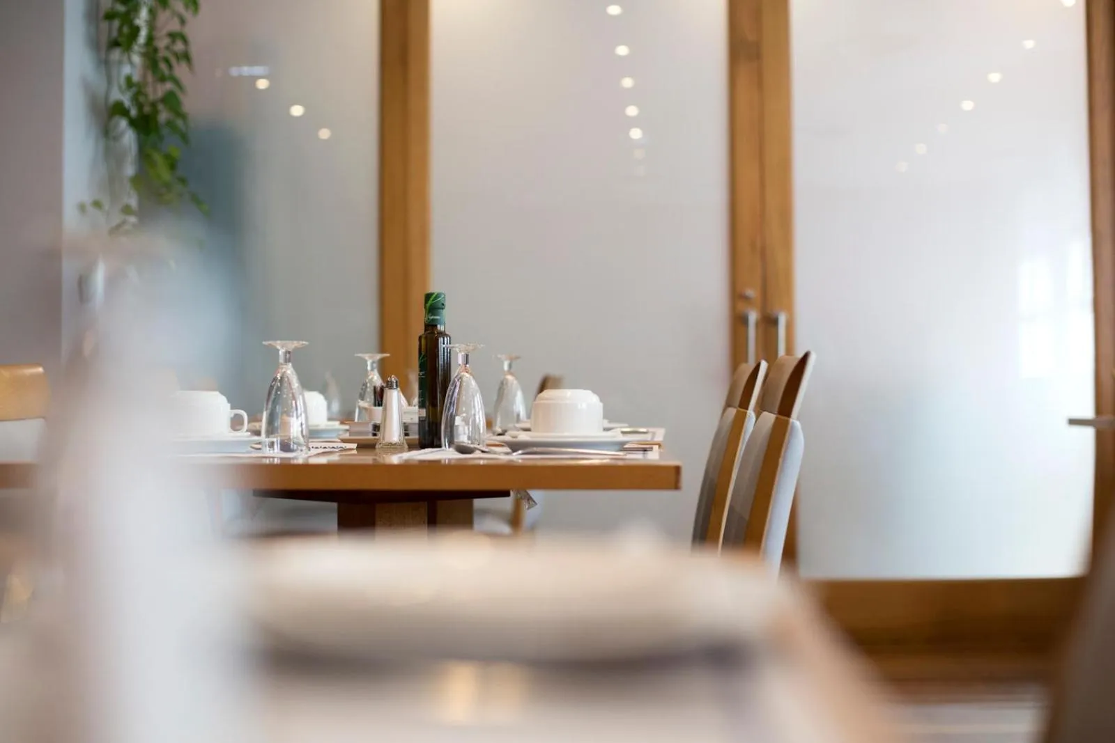 Restaurant/places to eat in Hotel El Sella