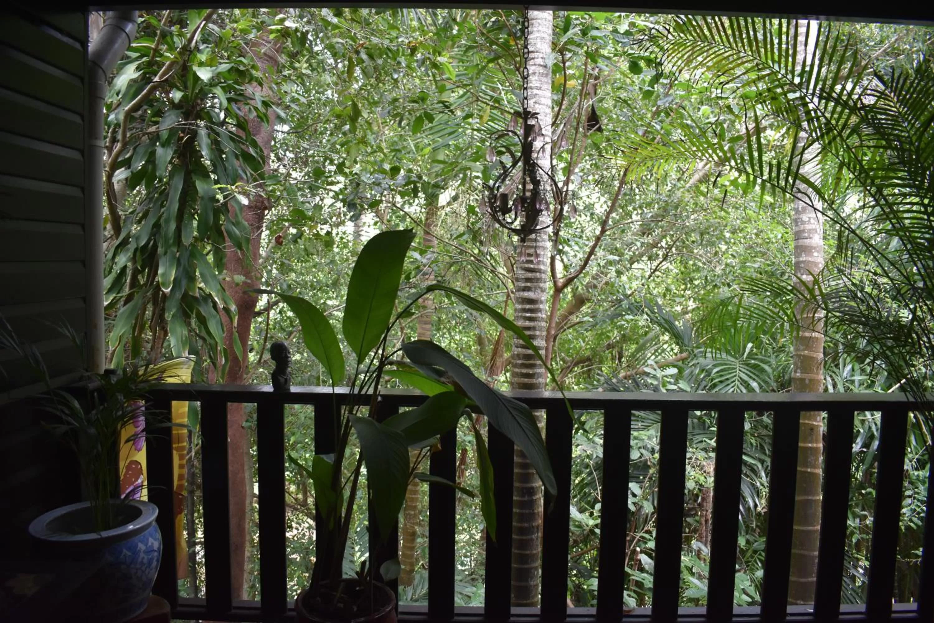 Balcony/Terrace in Oskar's Rain Forest Retreat