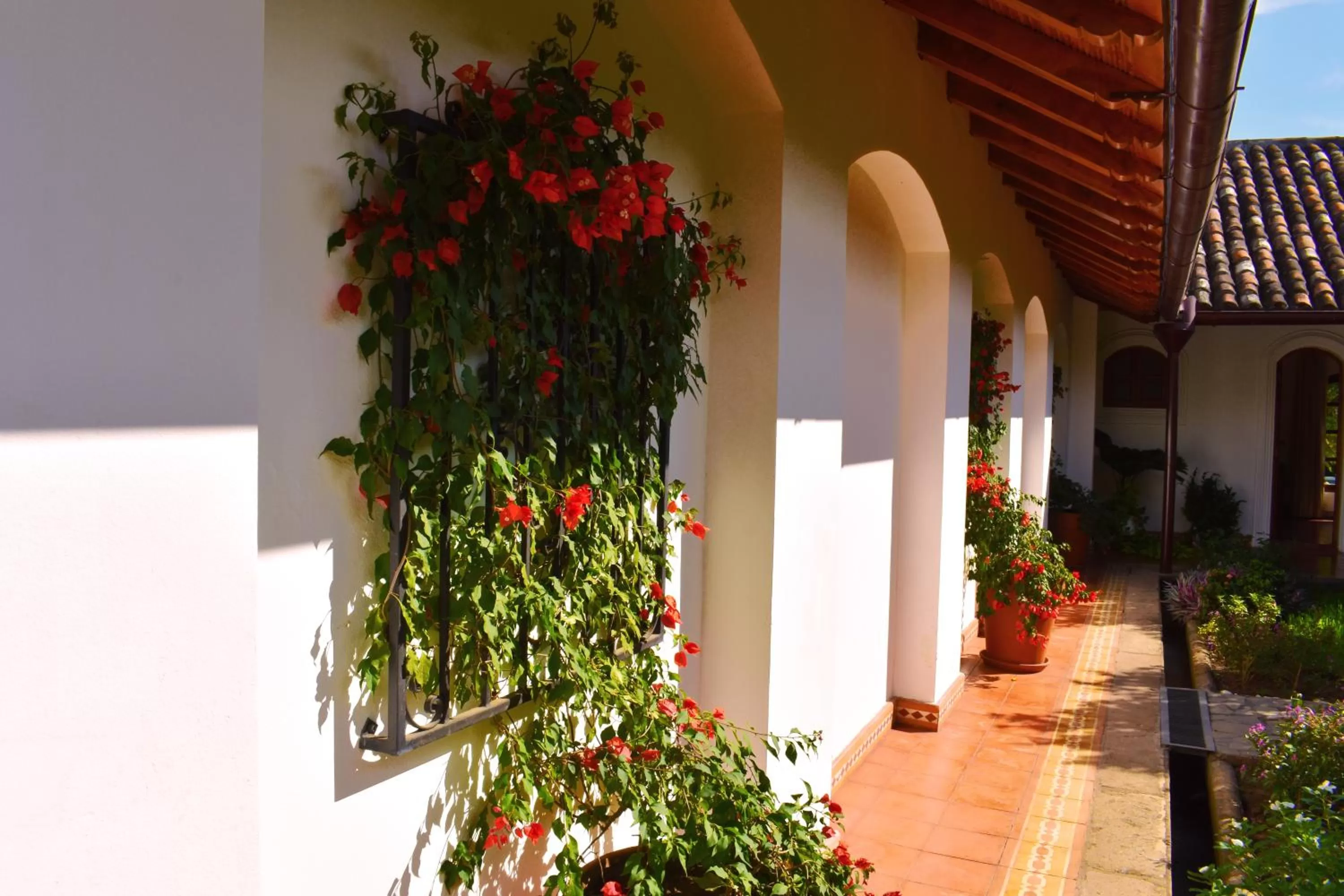 Garden view in Hotel Boutique Adela