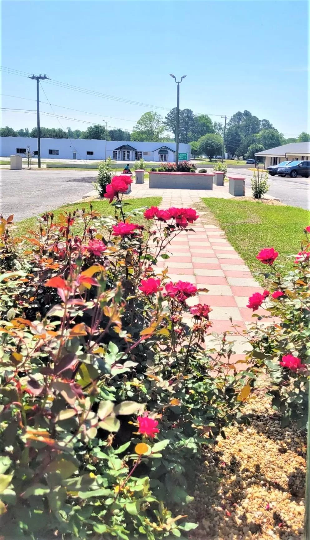 Garden in WILLIAMSTON INN