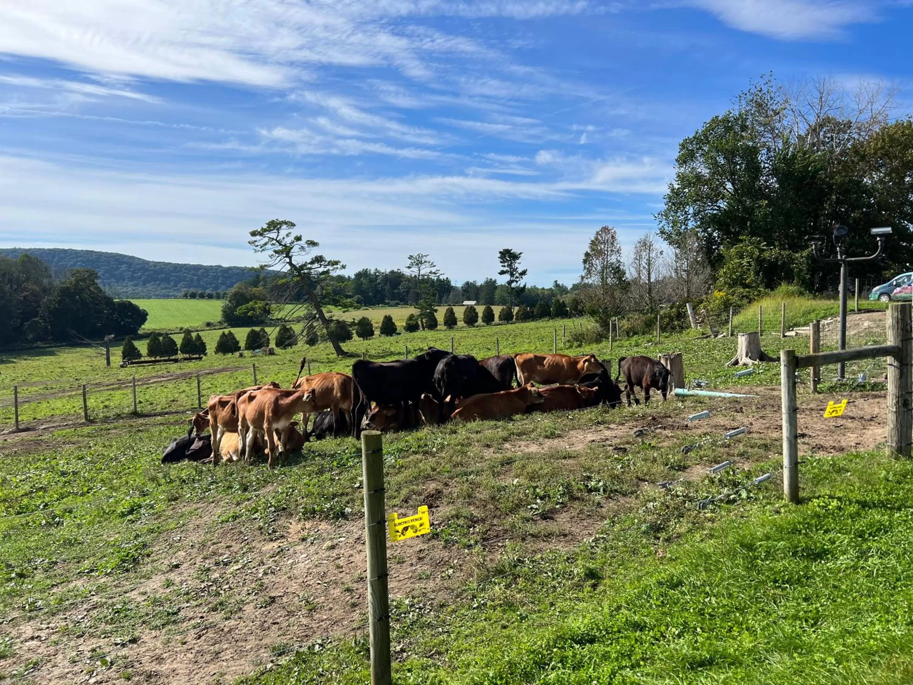 Neighbourhood in Chambery Inn