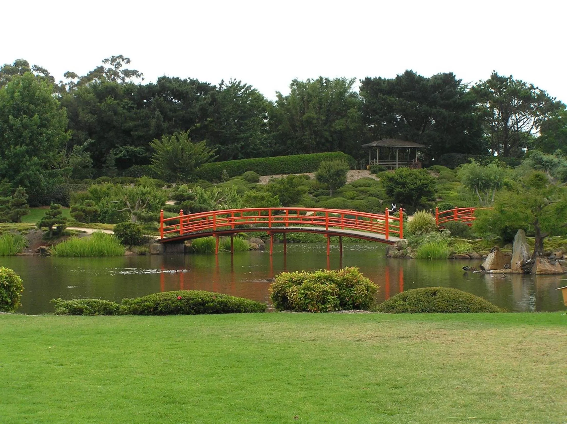 Summer in Blue Violet Motor Inn