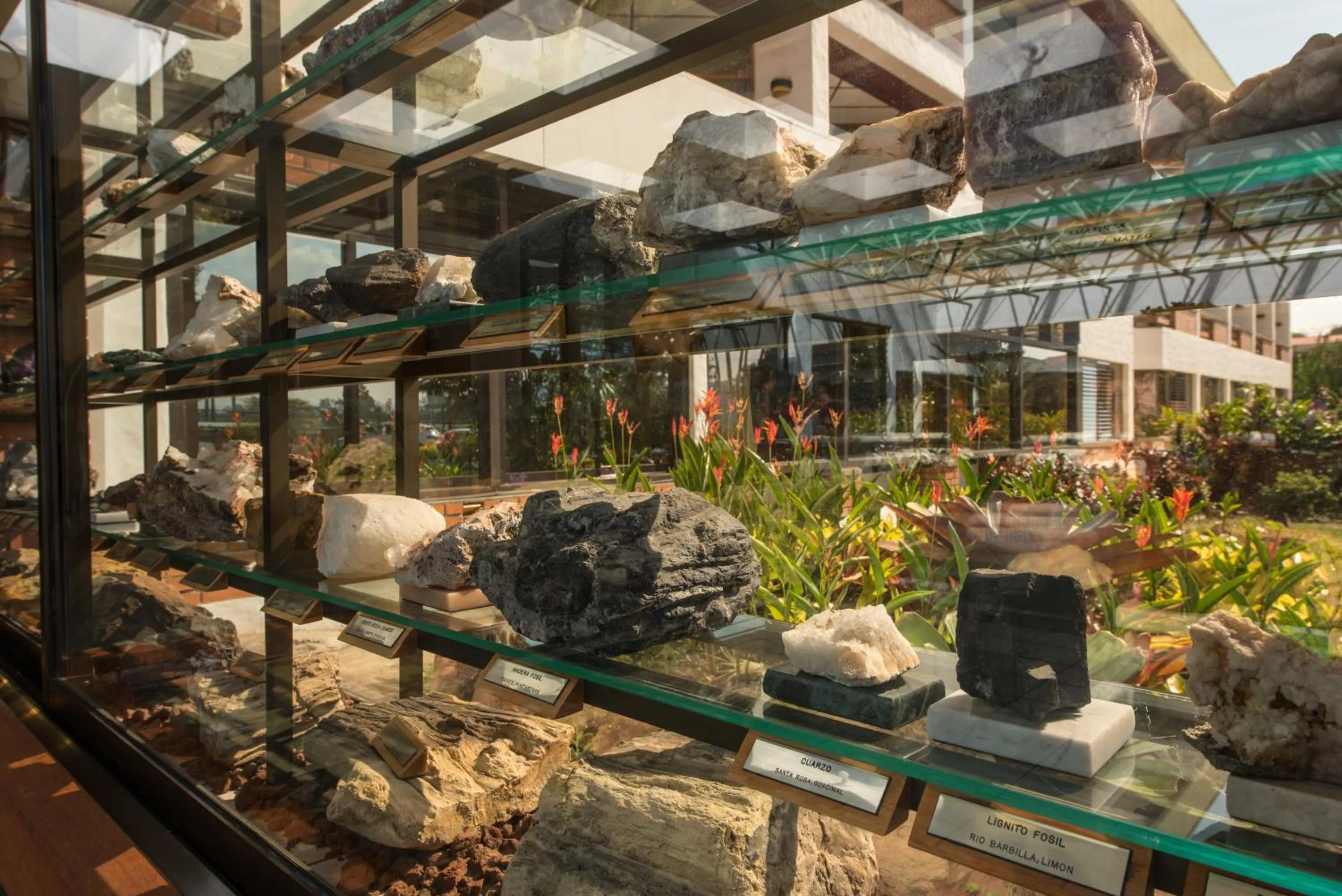 Decorative detail in Hotel Bougainvillea San José