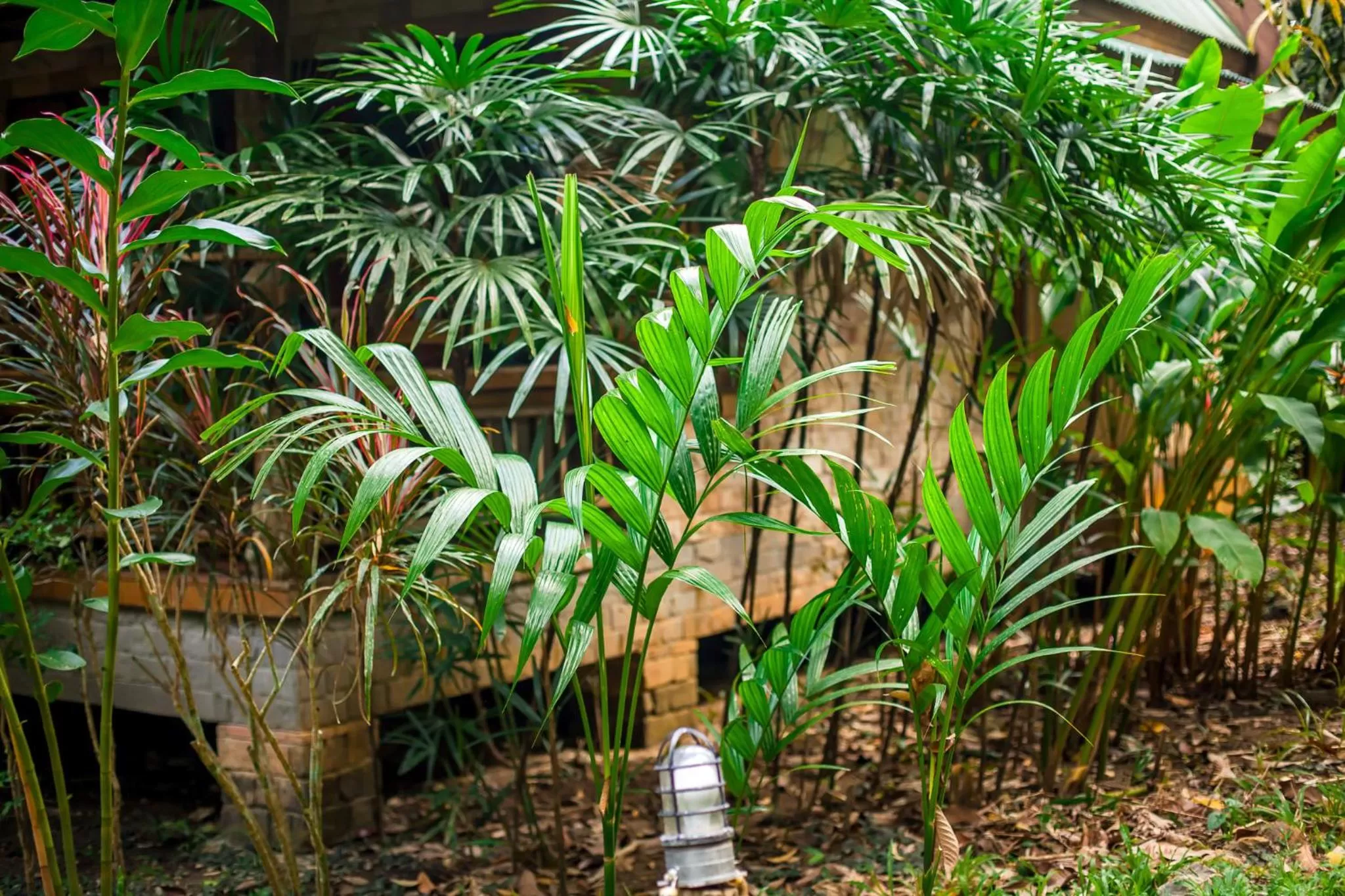 Garden, Swimming Pool in Aonang Cliff View Resort SHA Extra Plus