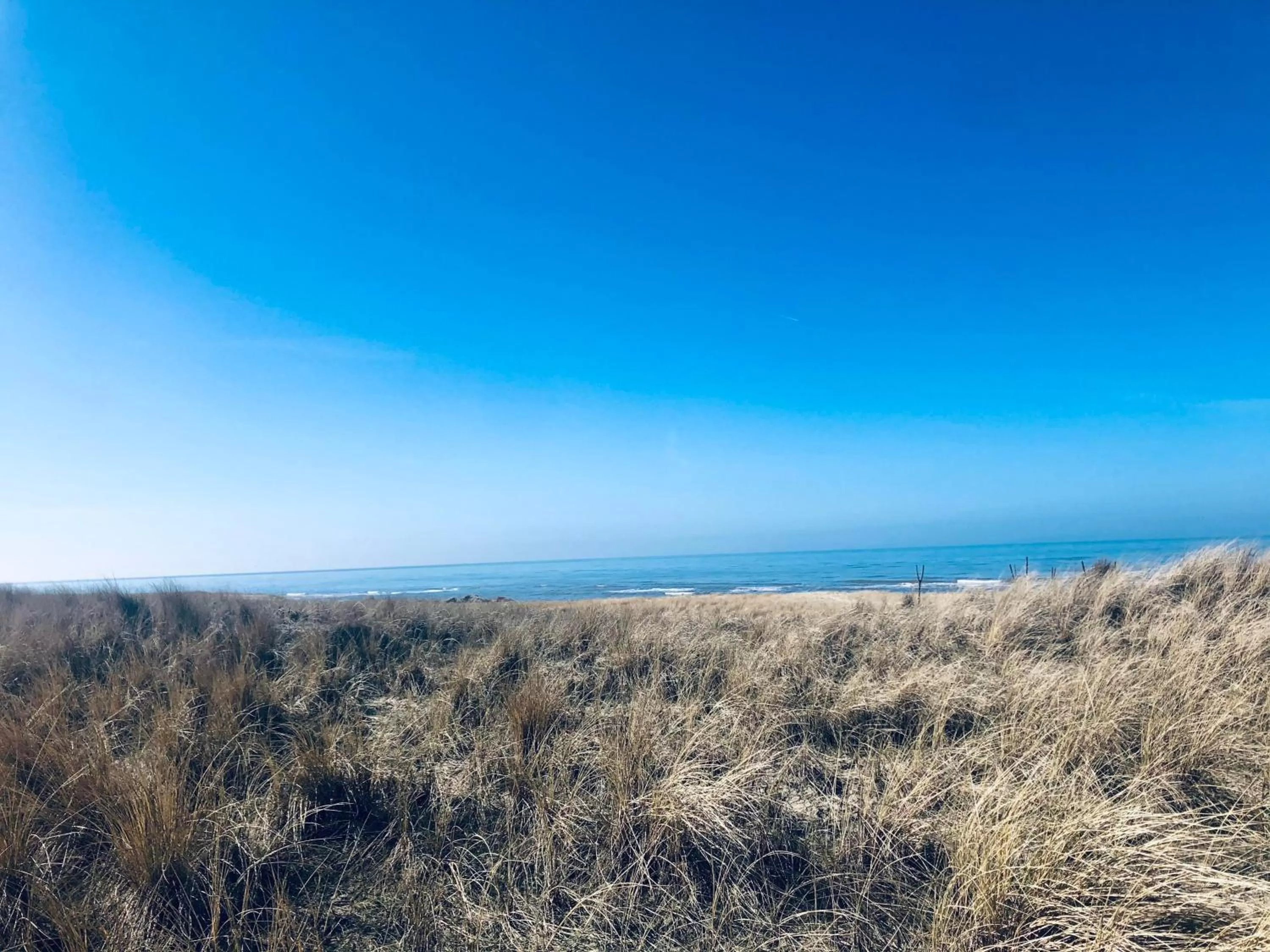 Beach in Hart van Petten