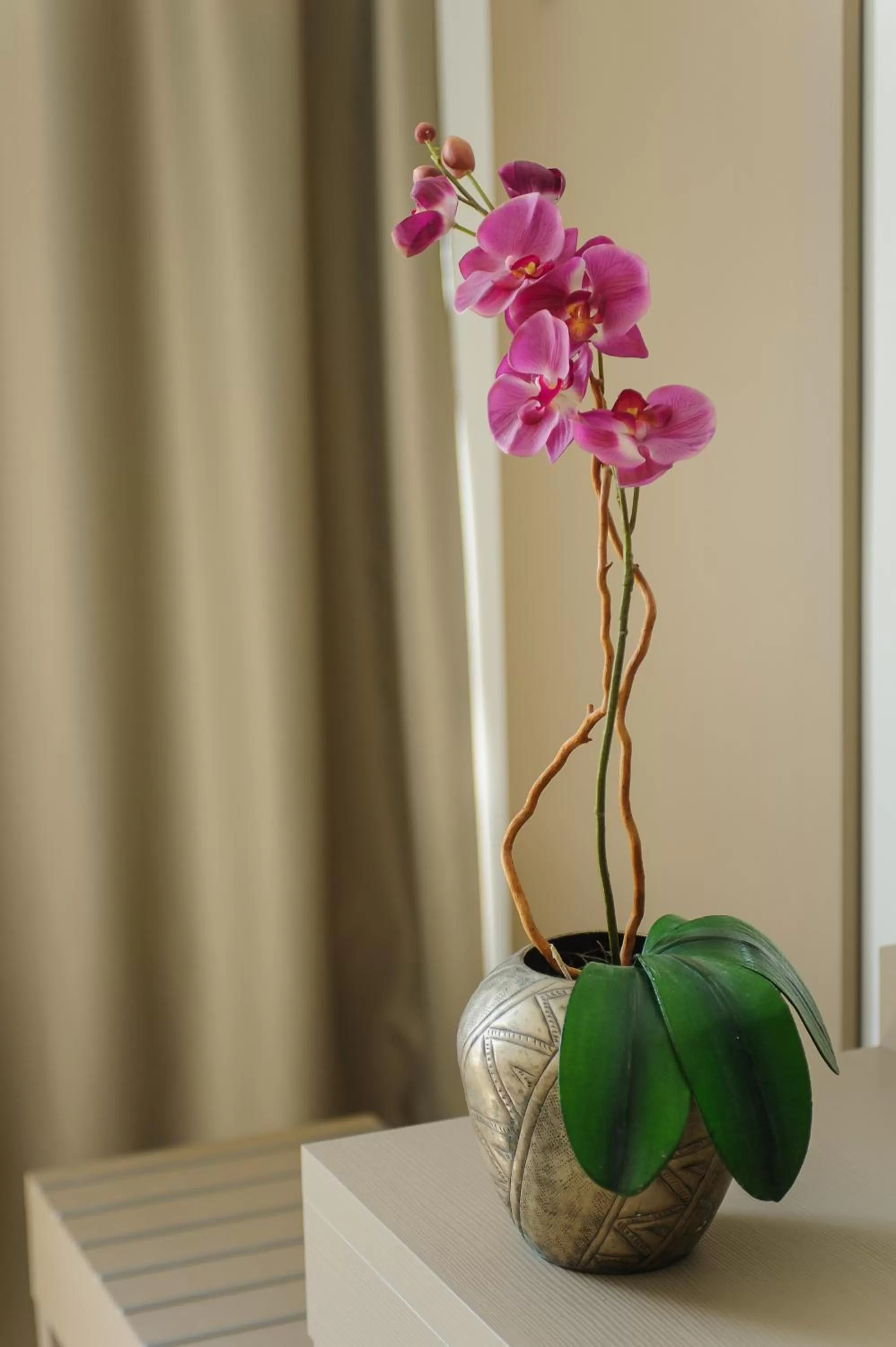 Decorative detail in Hotel Cristallo