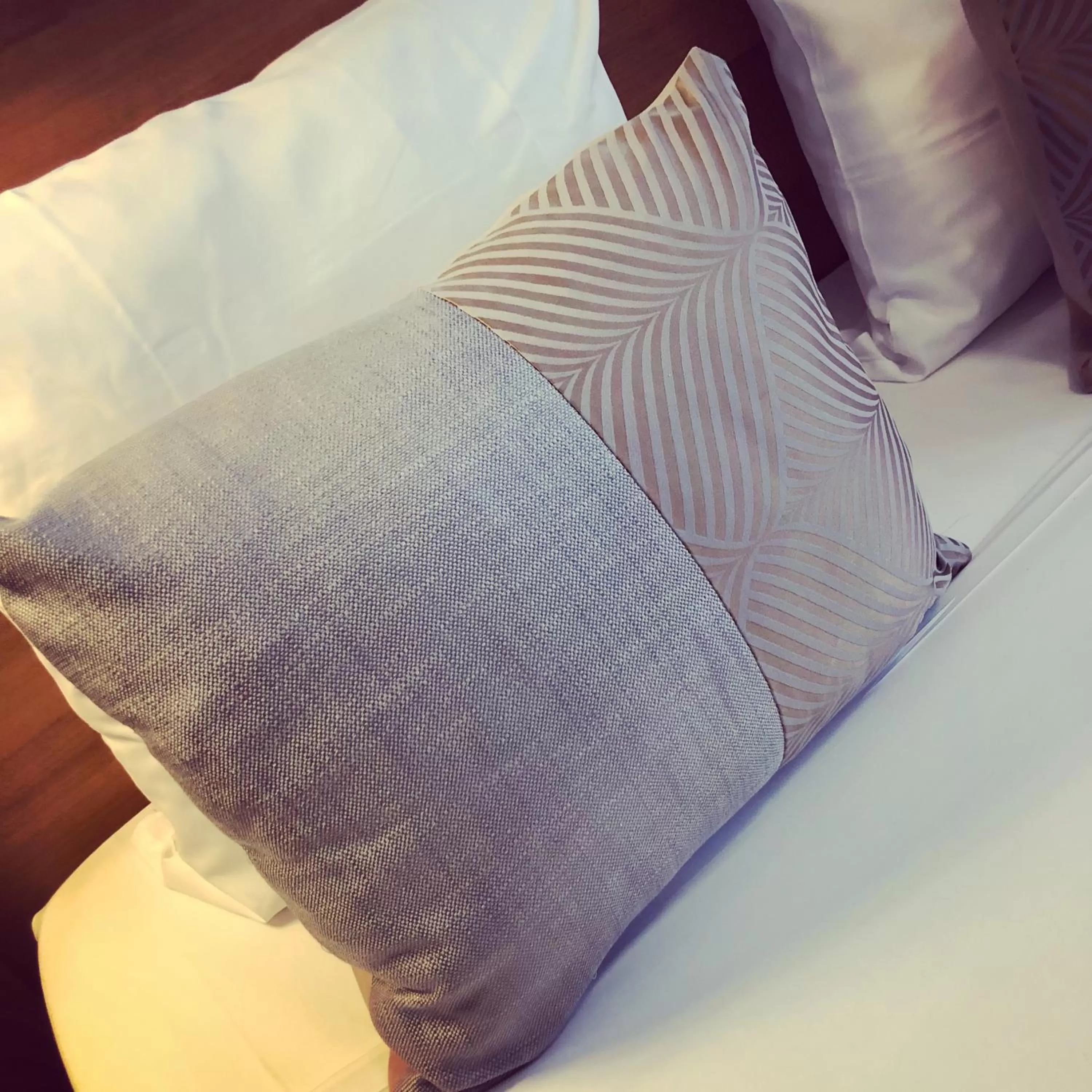 Decorative detail, Bed in Hotel Corona -Rodier-