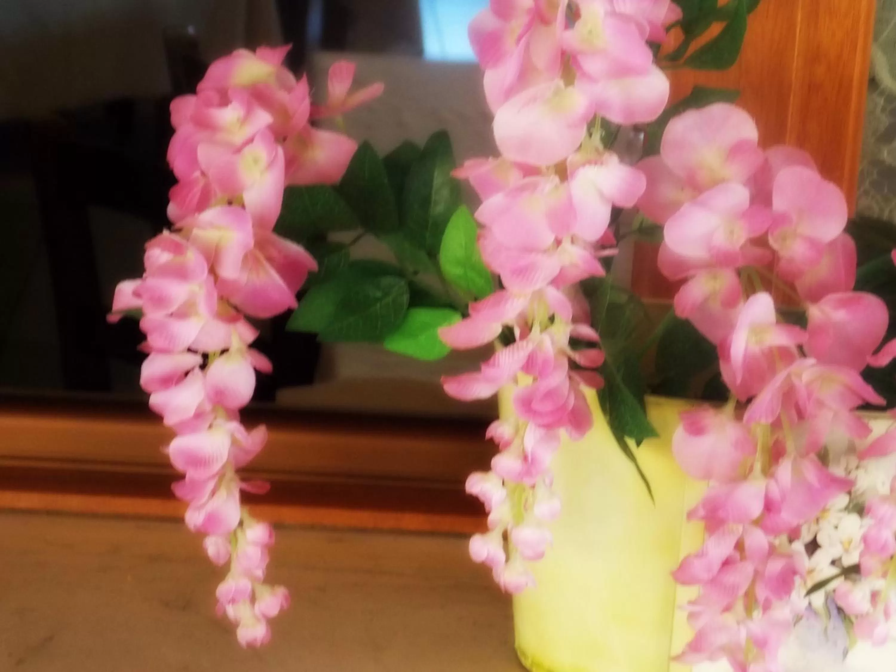 Other in Hotel Ristorante La Bettola