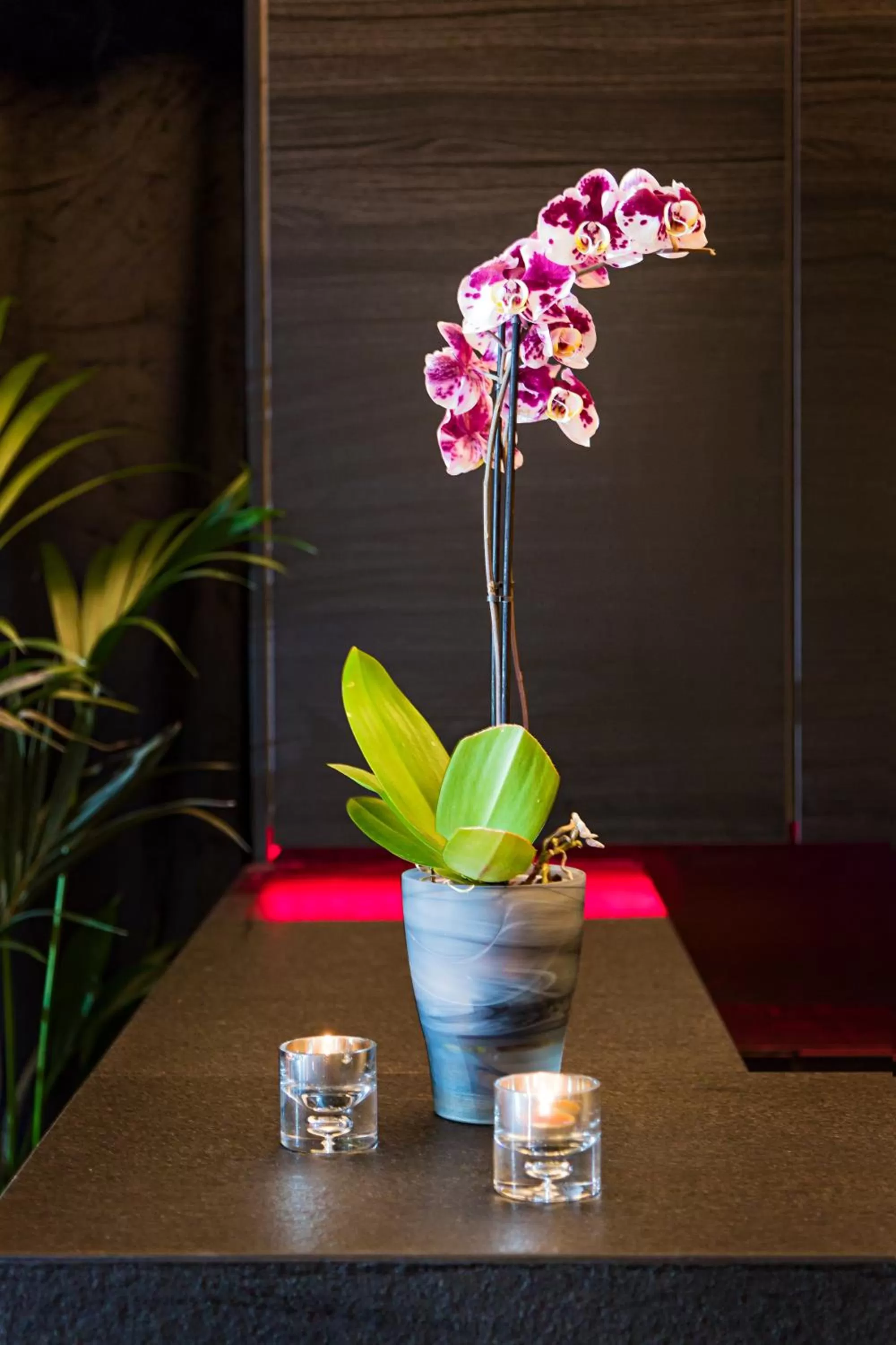 Area and facilities in Hotel 55