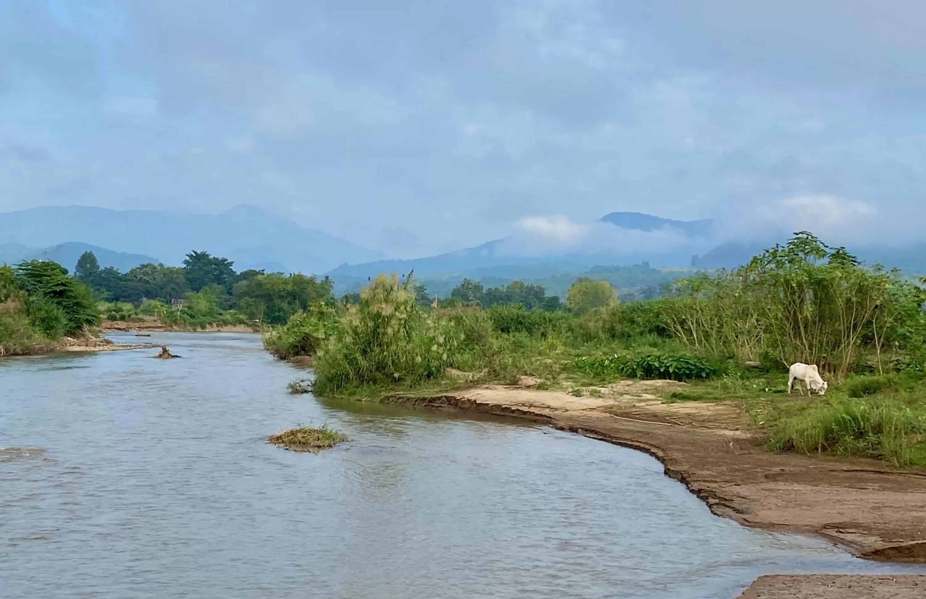 Neighbourhood in Pura Vida Pai Resort