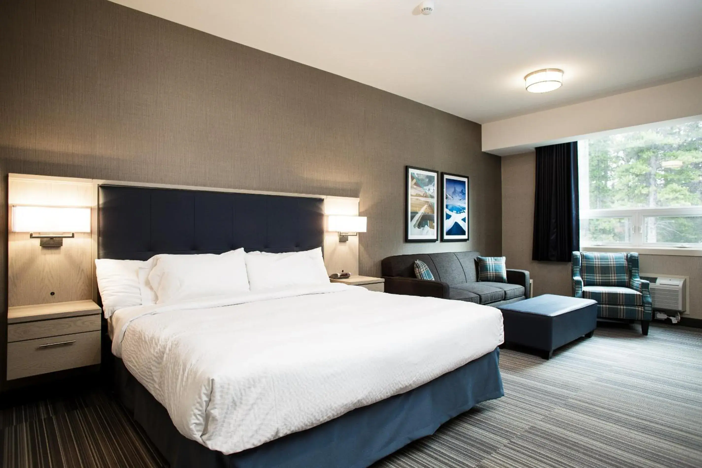 King Room - Disability Access in Mountaineer Lodge King Room - Disability Access in Mountaineer Lodge