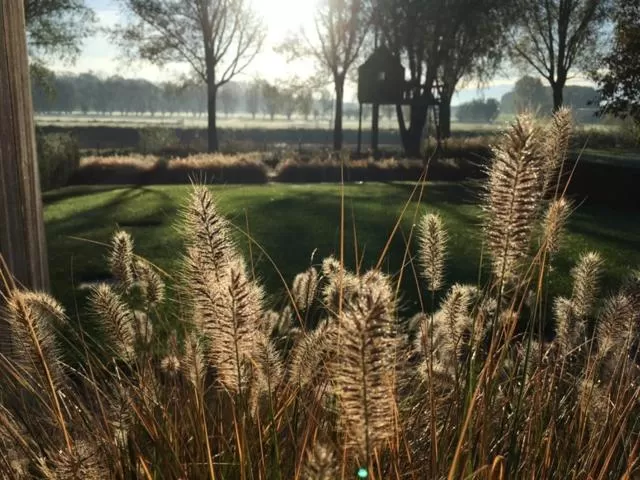 Garden view in B&B The View Bis