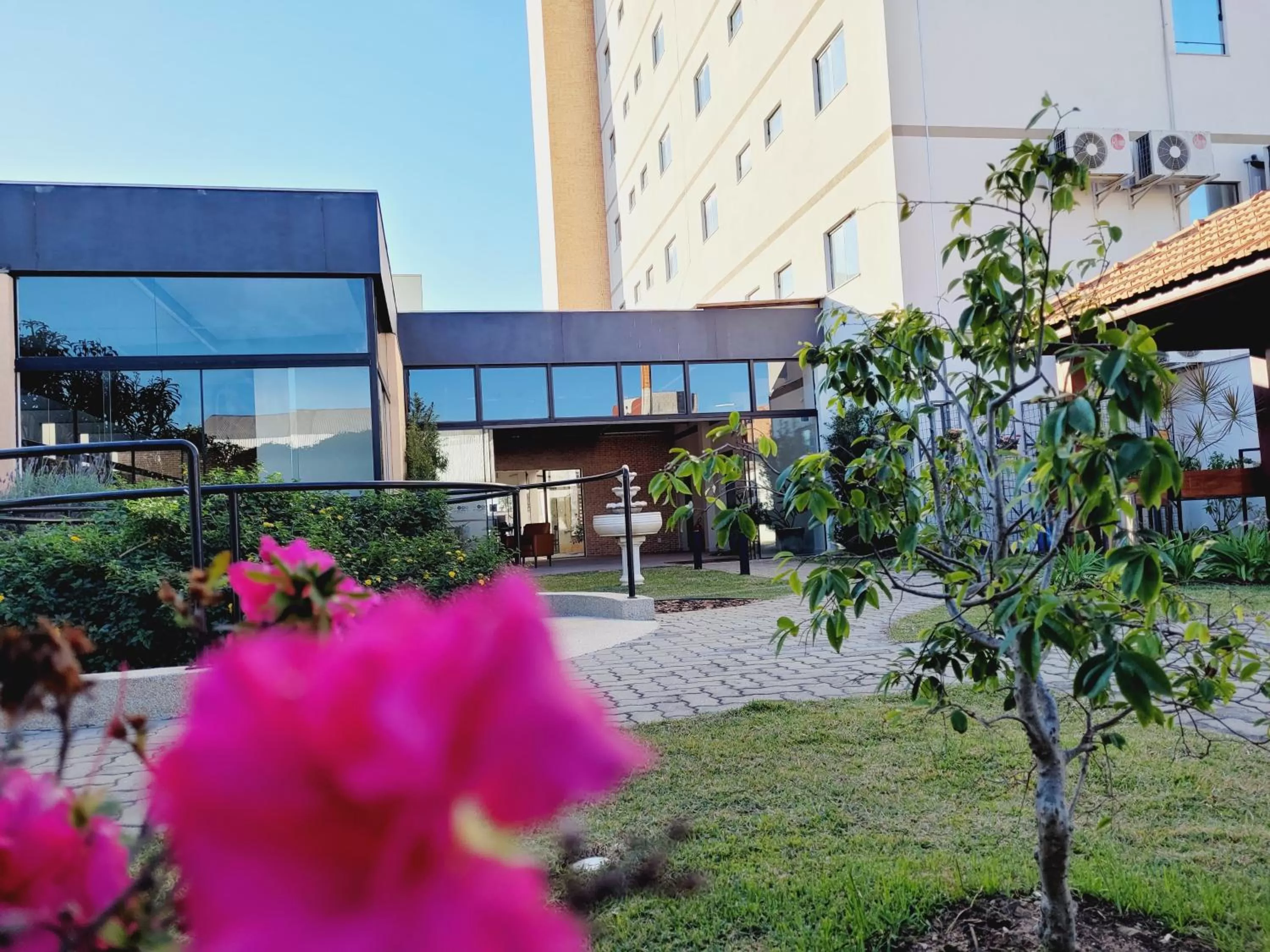 Garden in Pinda Palace Hotel