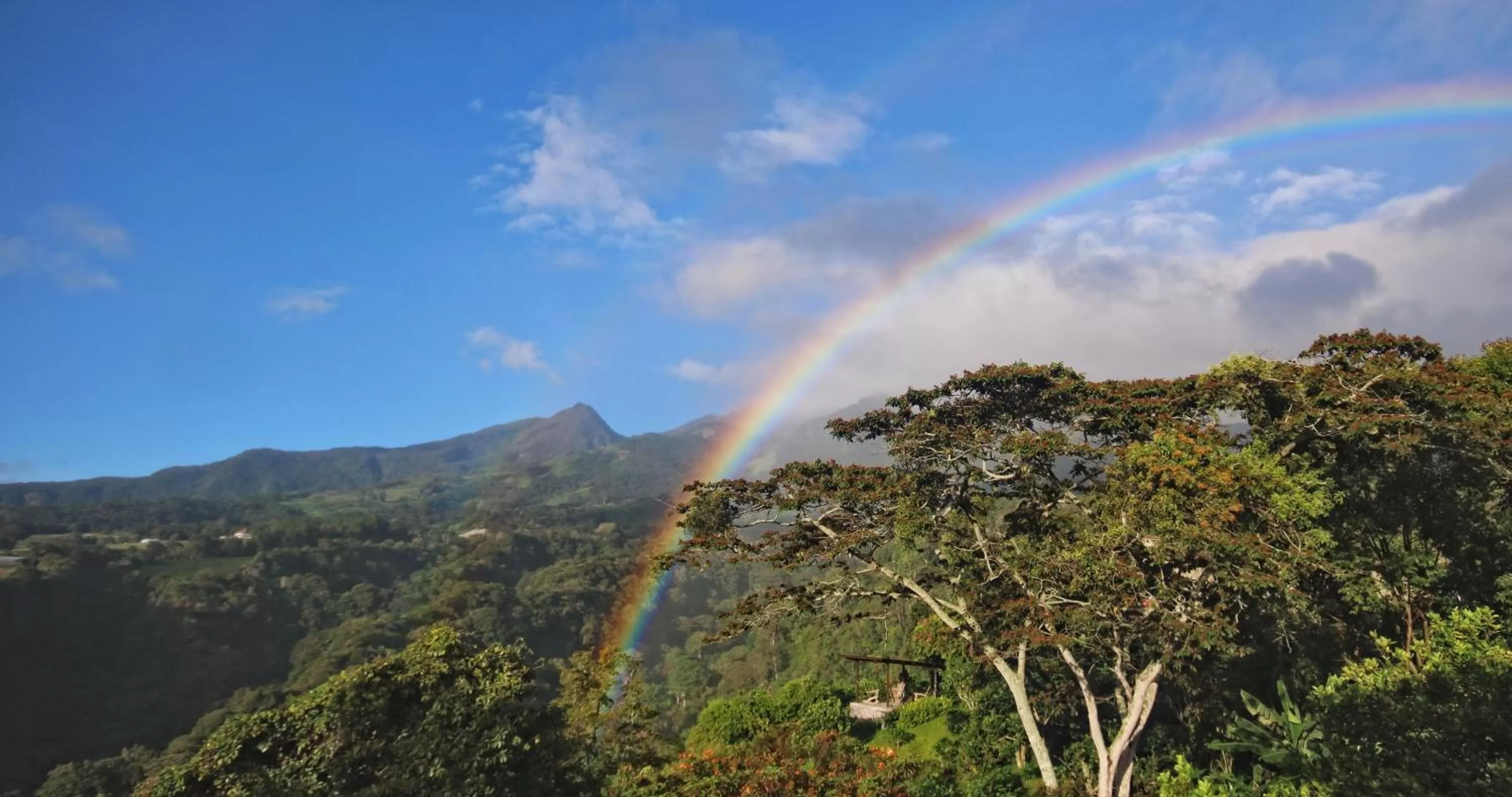 The Guest Suites at Manana Madera