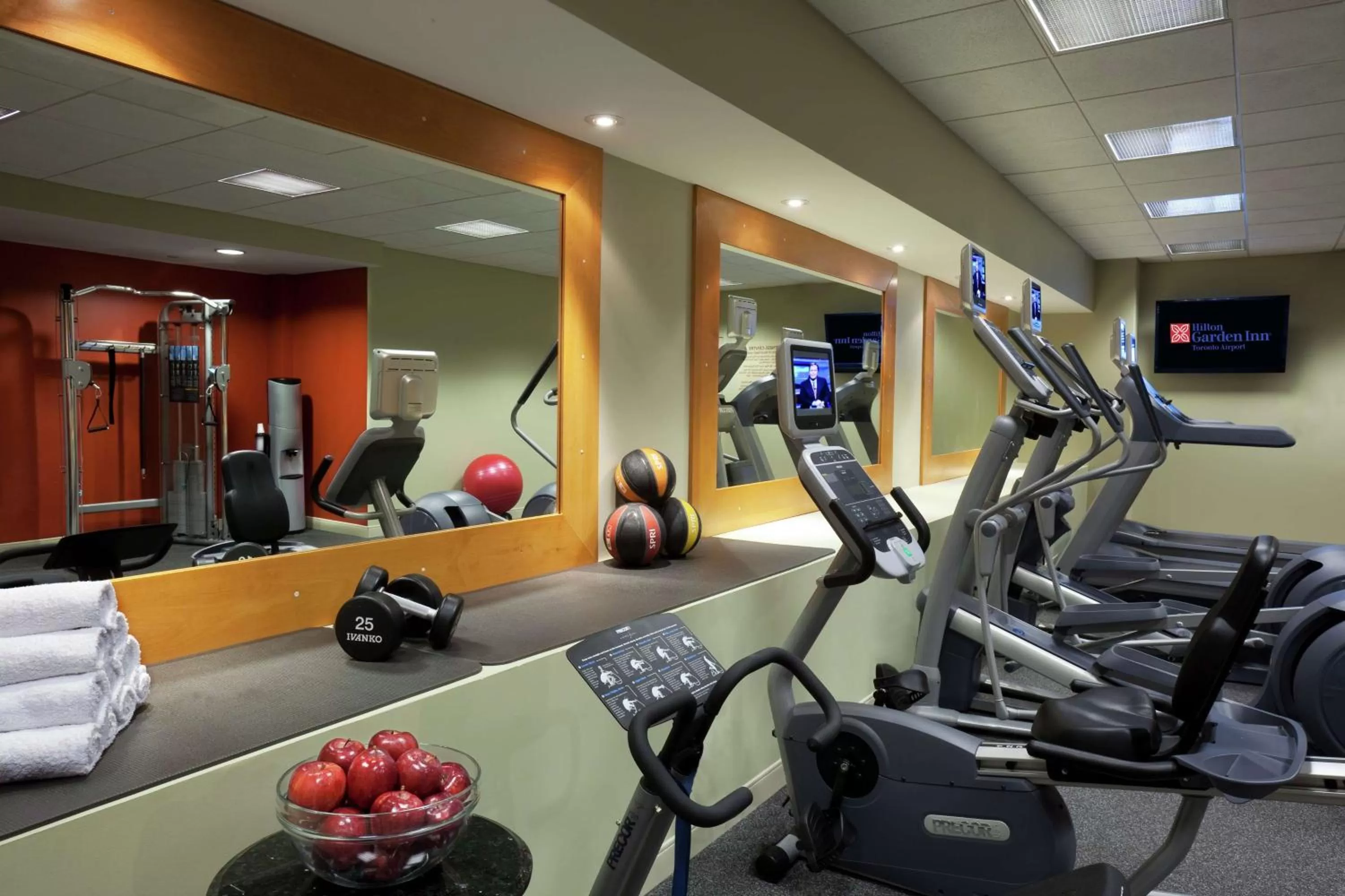 Fitness centre/facilities in Hilton Garden Inn Toronto Airport