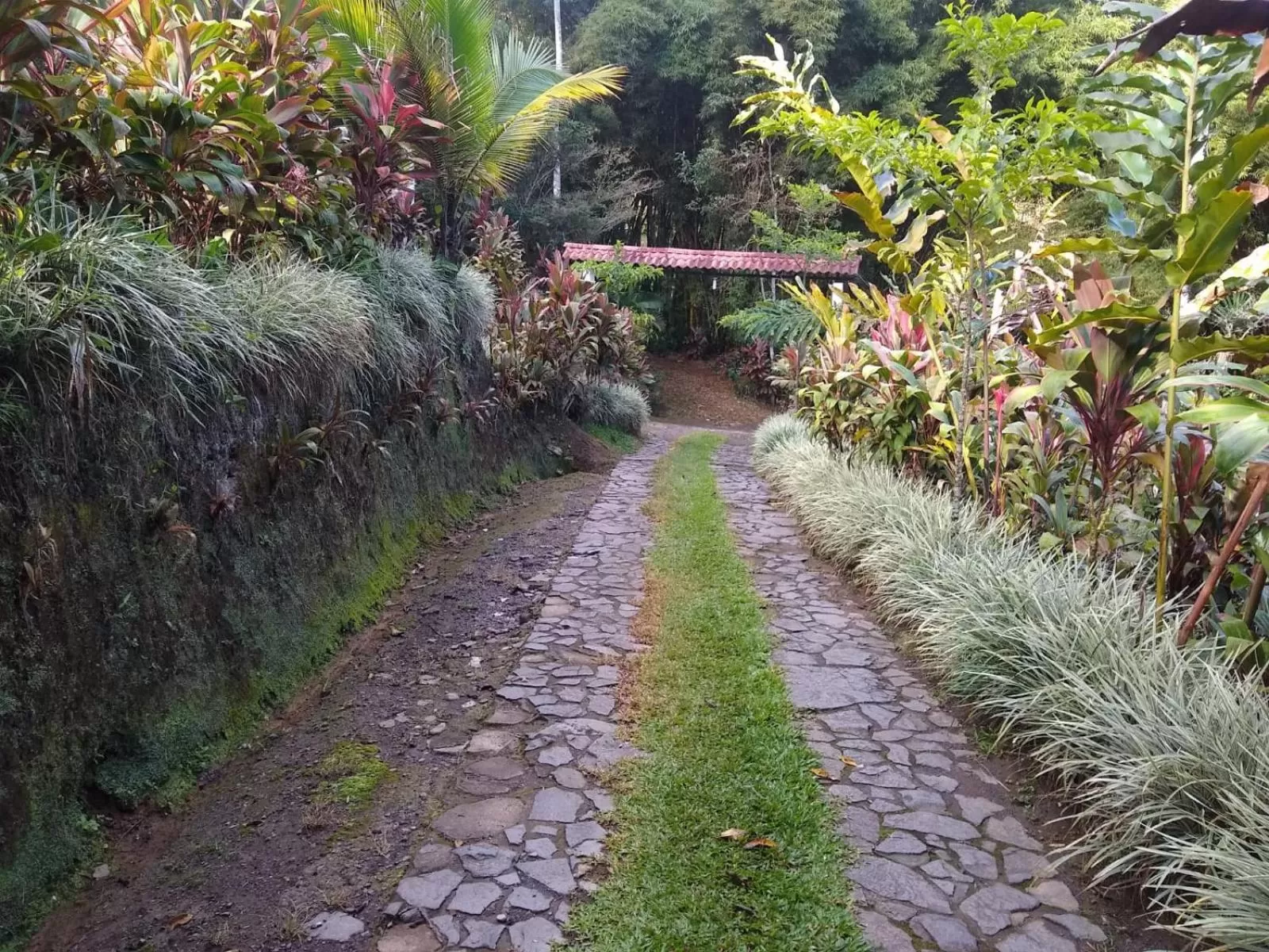 Garden in Hotel Green Mountain turrialba
