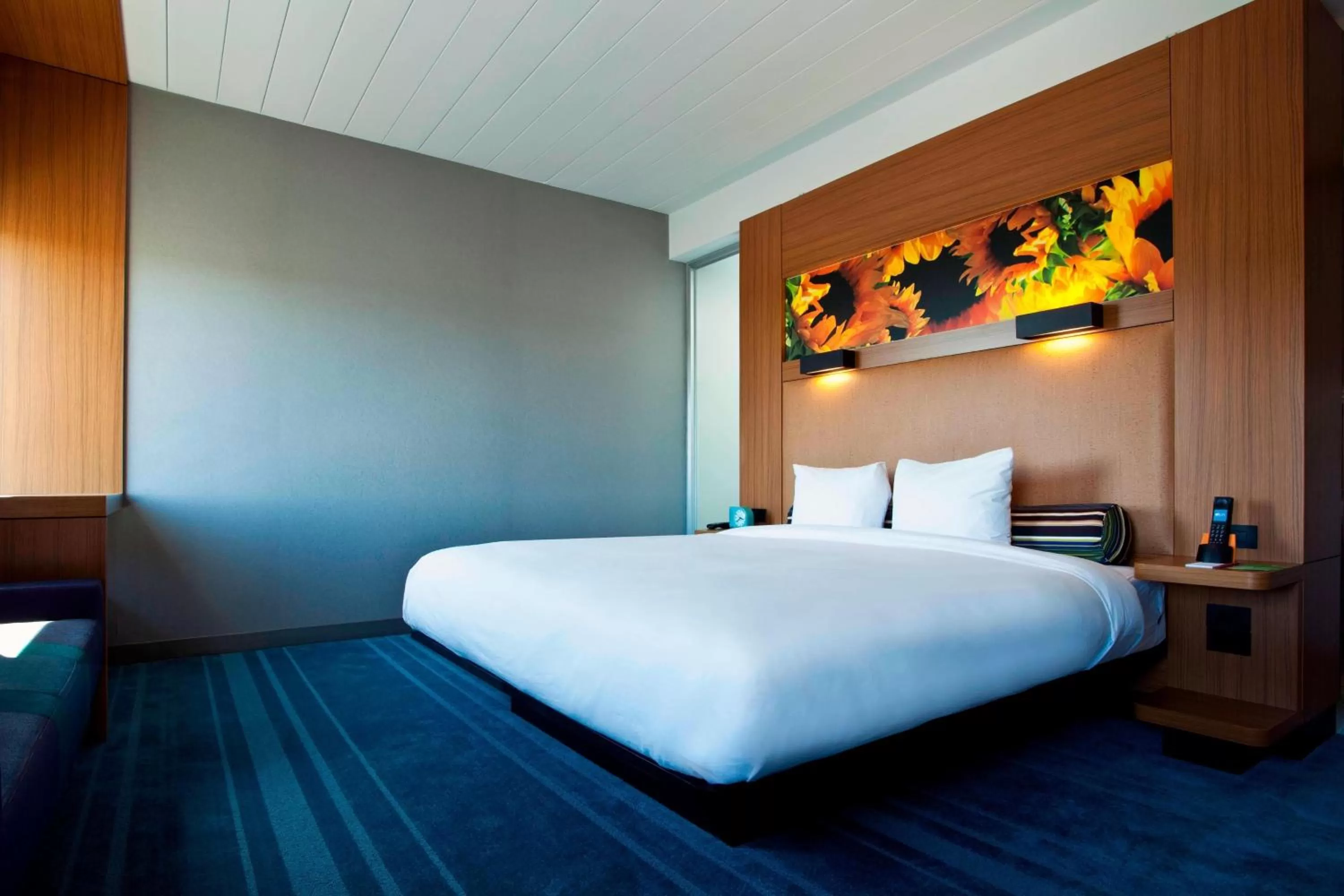 King Room with Adapted Tub - Mobility and Hearing Accessible in Aloft Dulles Airport North