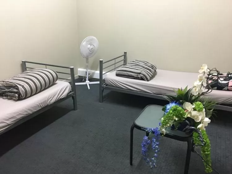 Twin Room with Shared Bathroom - No Window  in Surf 'N' Snow Backpackers Across Sky Tower