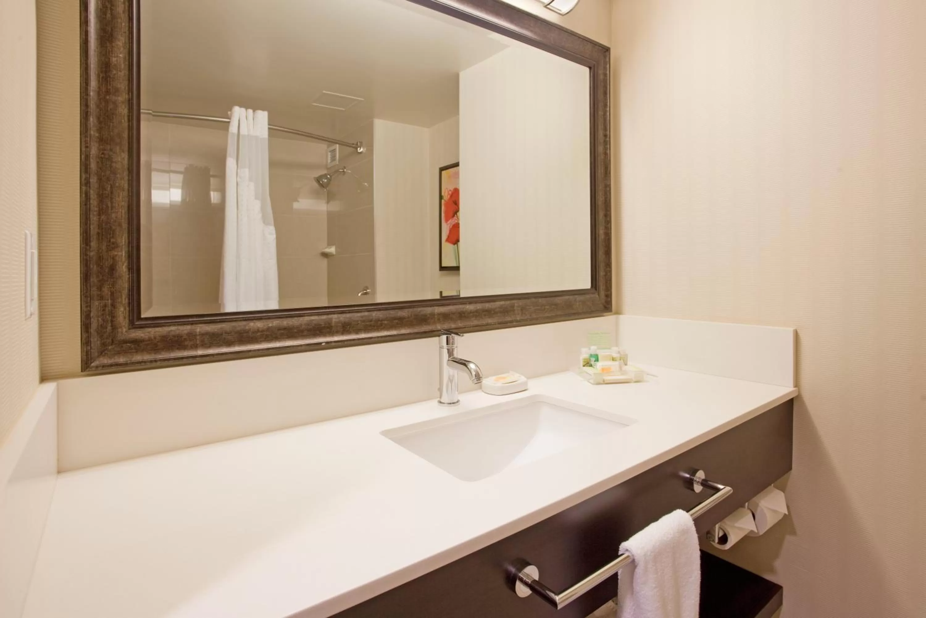 Bathroom in Holiday Inn Vancouver-Centre Broadway by IHG